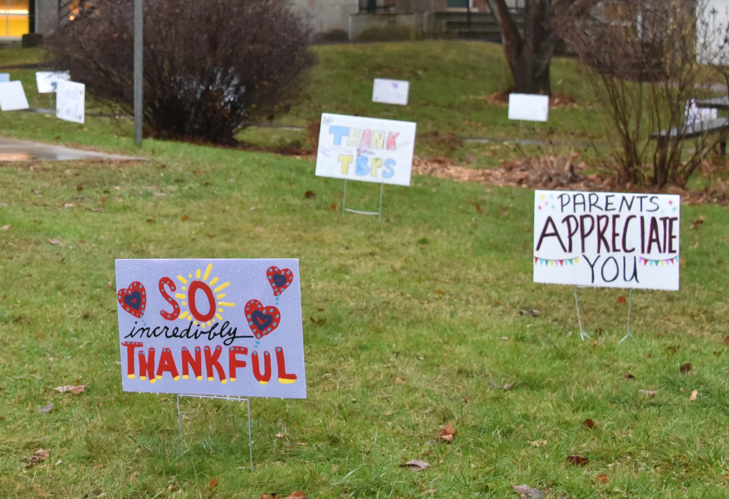  Teachers and staff at Thatcher Brook Primary School were greeted ahead of  the Thanksgiving holiday with a sea of "thank you" signs made by students and parents. Photos by Gordon Miller. 