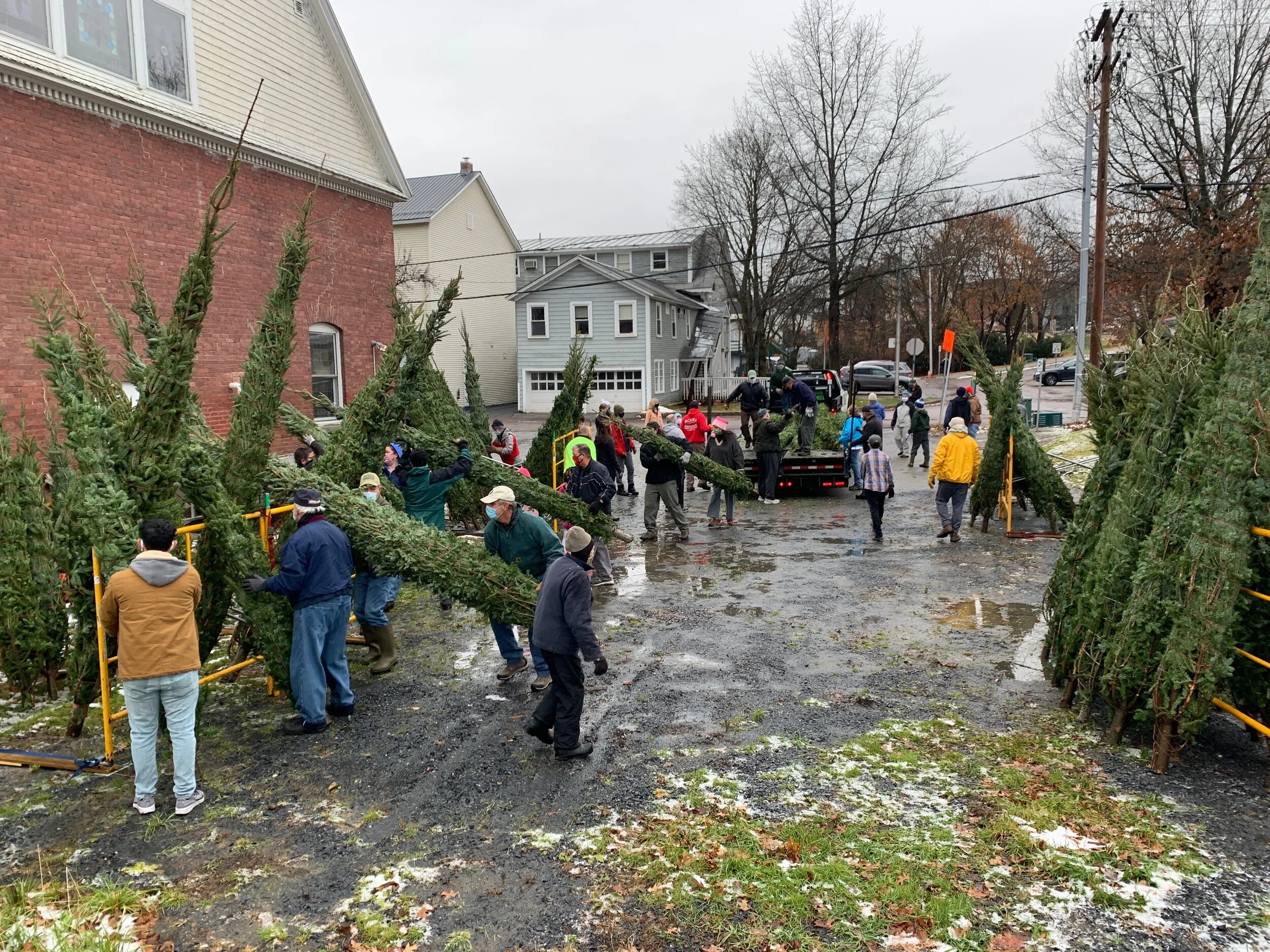   The selection includes some pretty tall trees this year. Photo by Brian Conyers.  