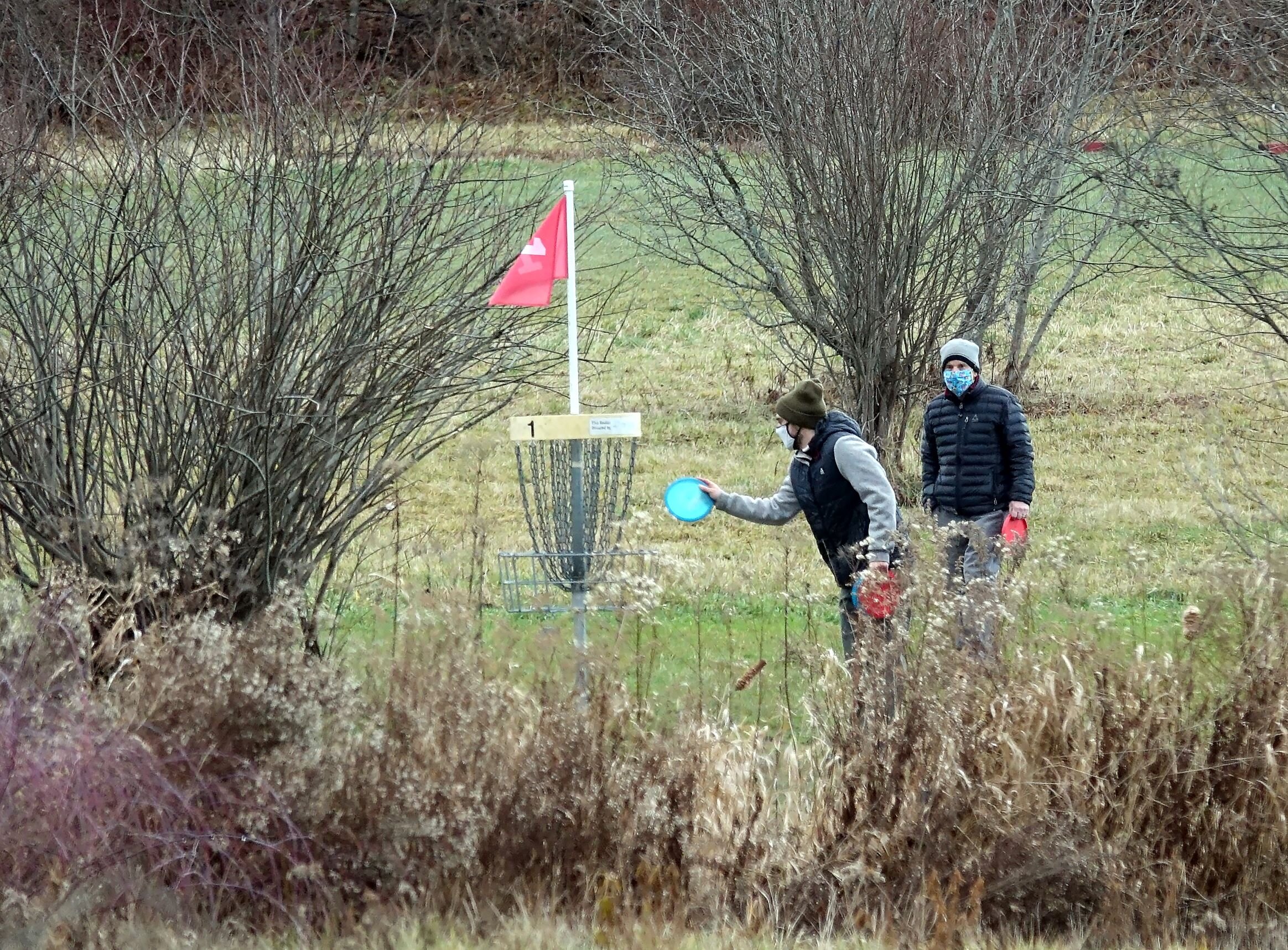   Disc golf on grass in December, why not? At Hope Davey Park, Dec. 13. Photo by Gordon Miller.   