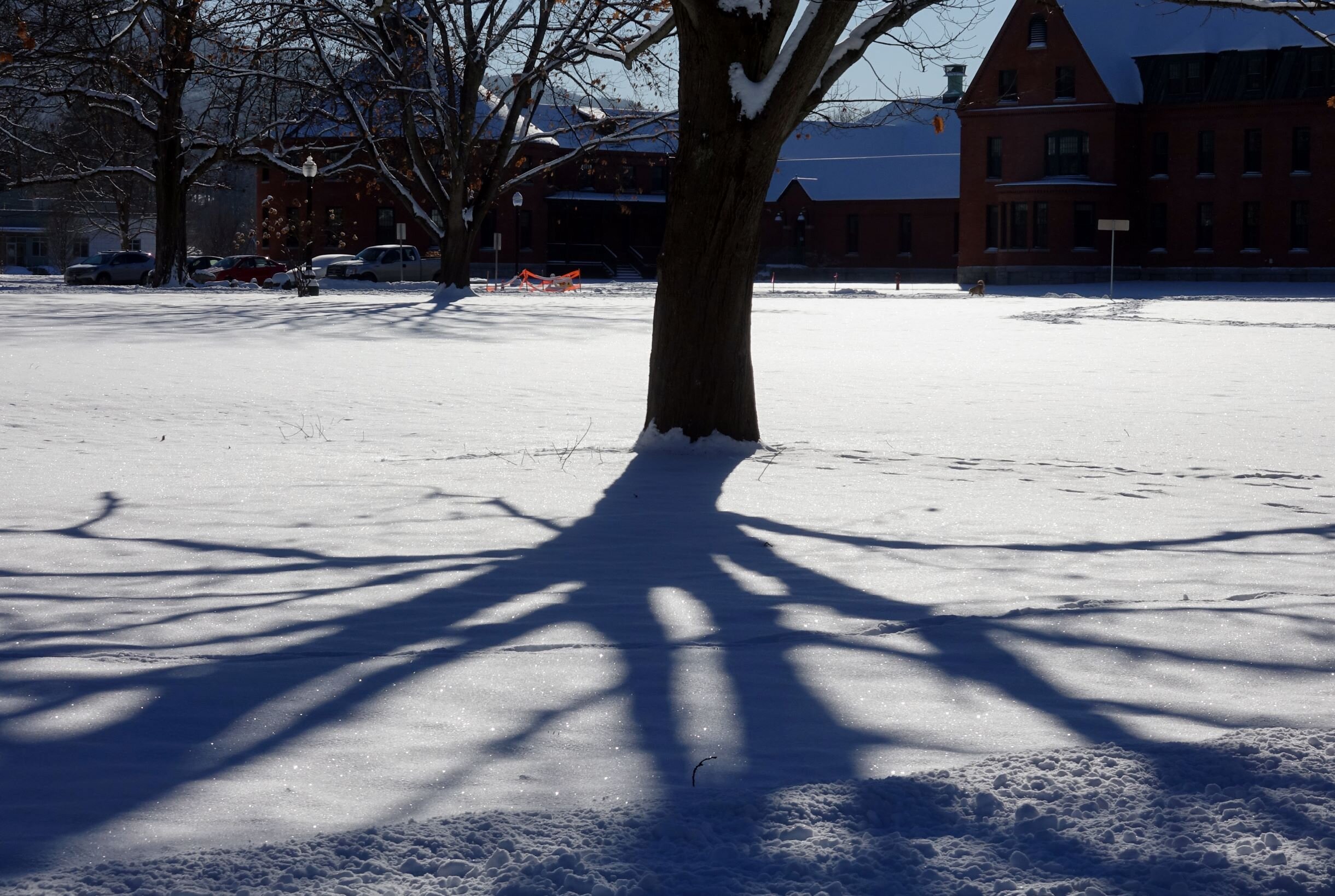   The days around Winter Solstice bring the longest shadows of the year like these on the state complex lawn. Photo by Gordon Miller.   