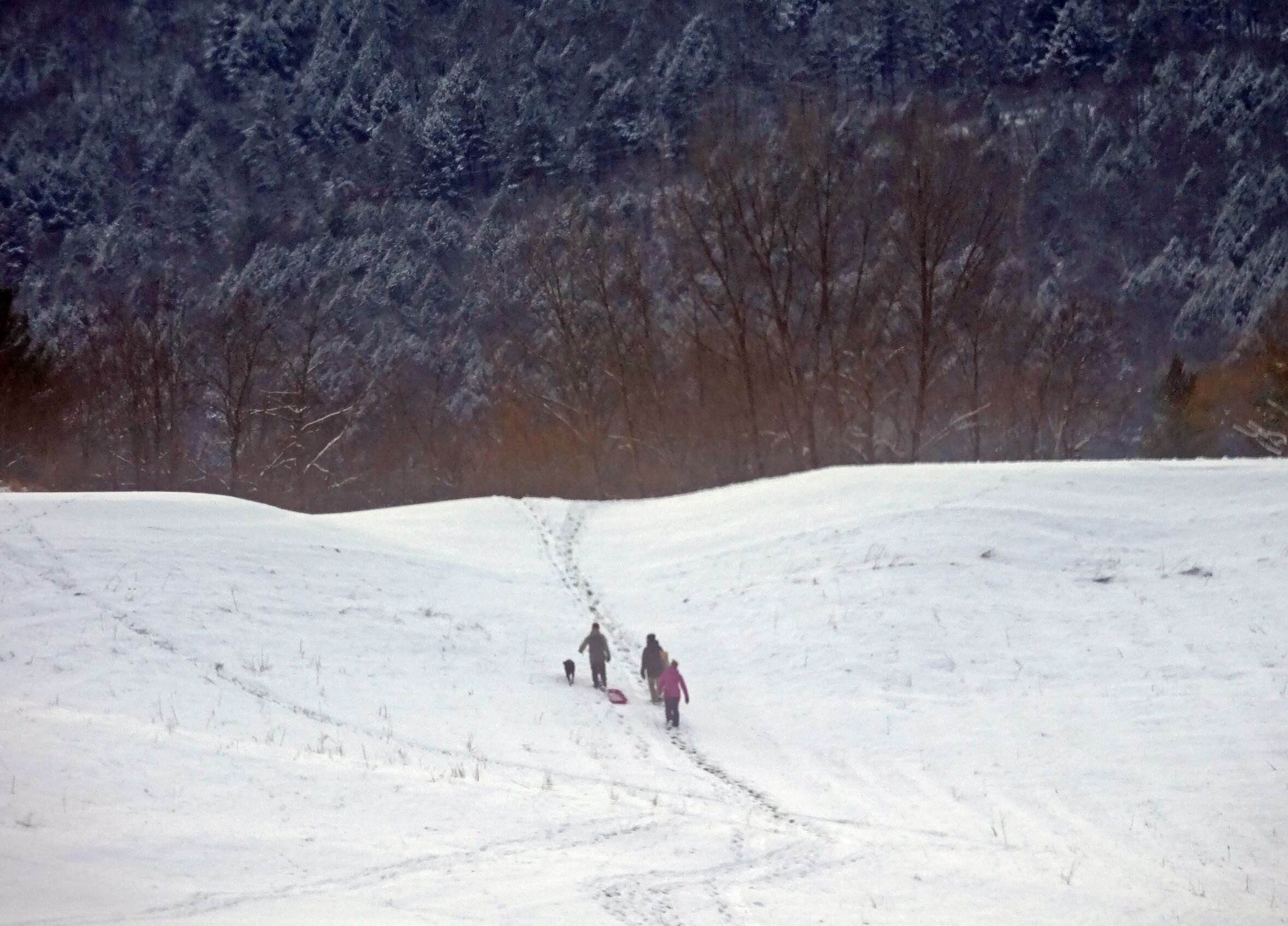   From a distance, winter looks pretty normal on the sledding hill. Photo by Gordon Miller.   