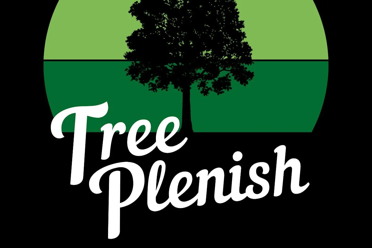 Harwood students look to plant trees to offset paper use