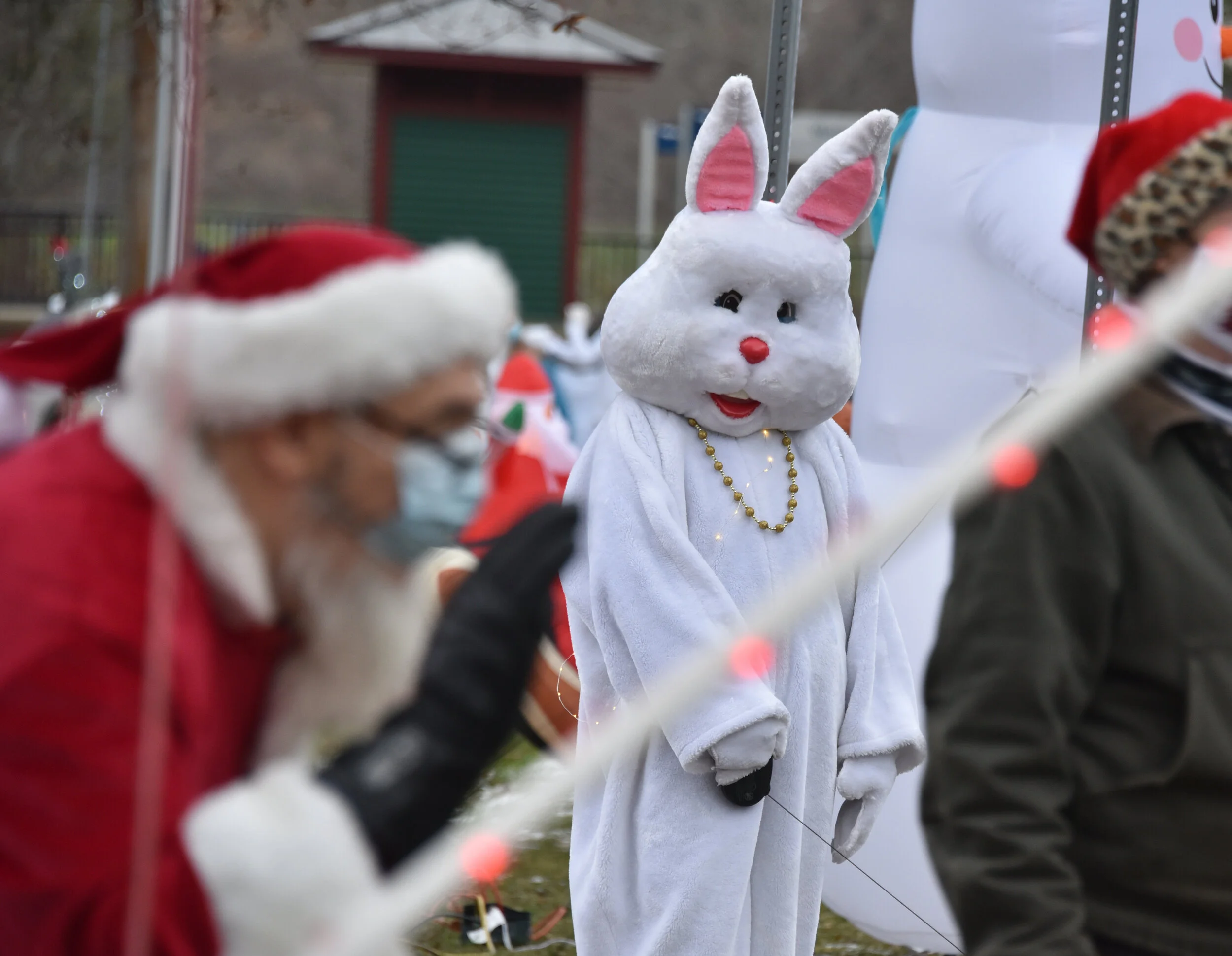 Drive-through Easter Bunny visit to replace parade, egg hunt