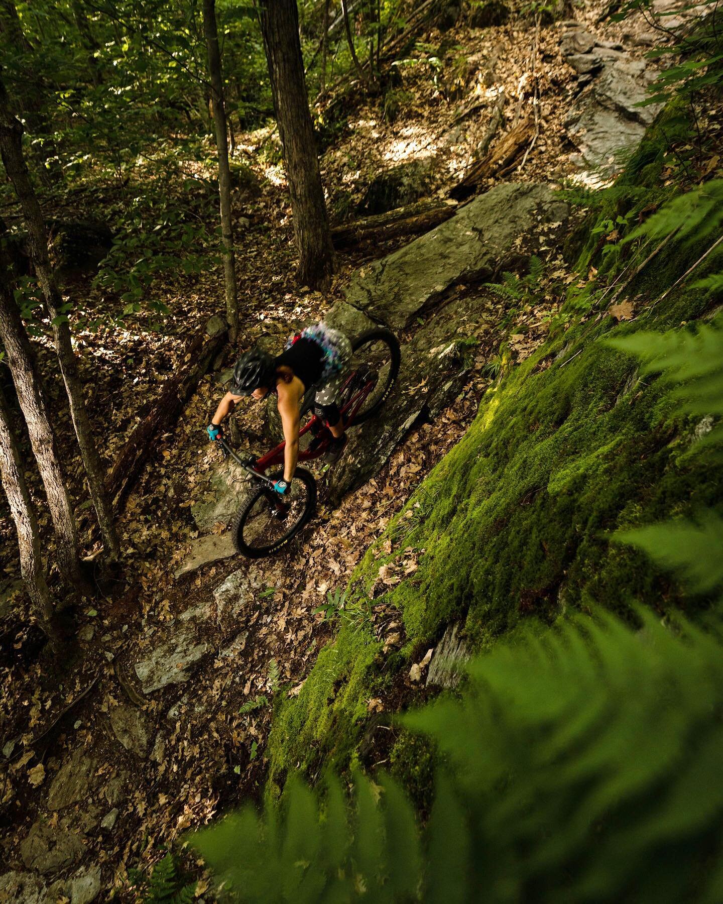 Waterbury Area Trails Alliance hosts virtual kick-off