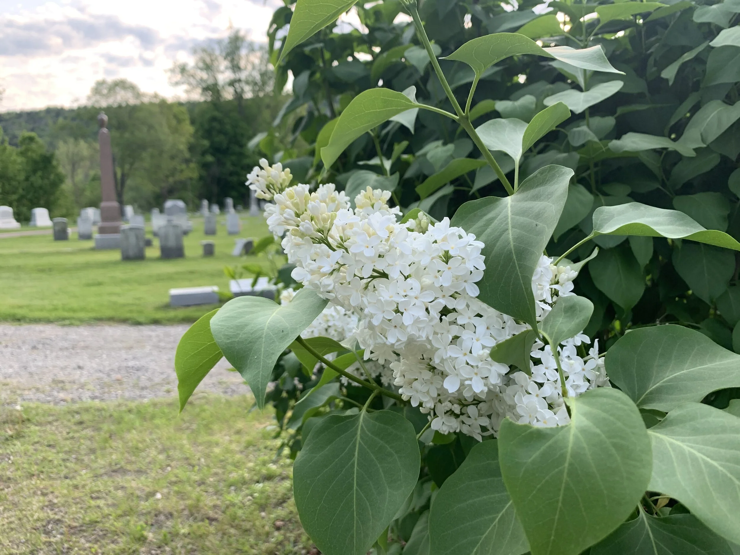 Memorial Day Ghost Walk planned for Hope Cemetery, May 31