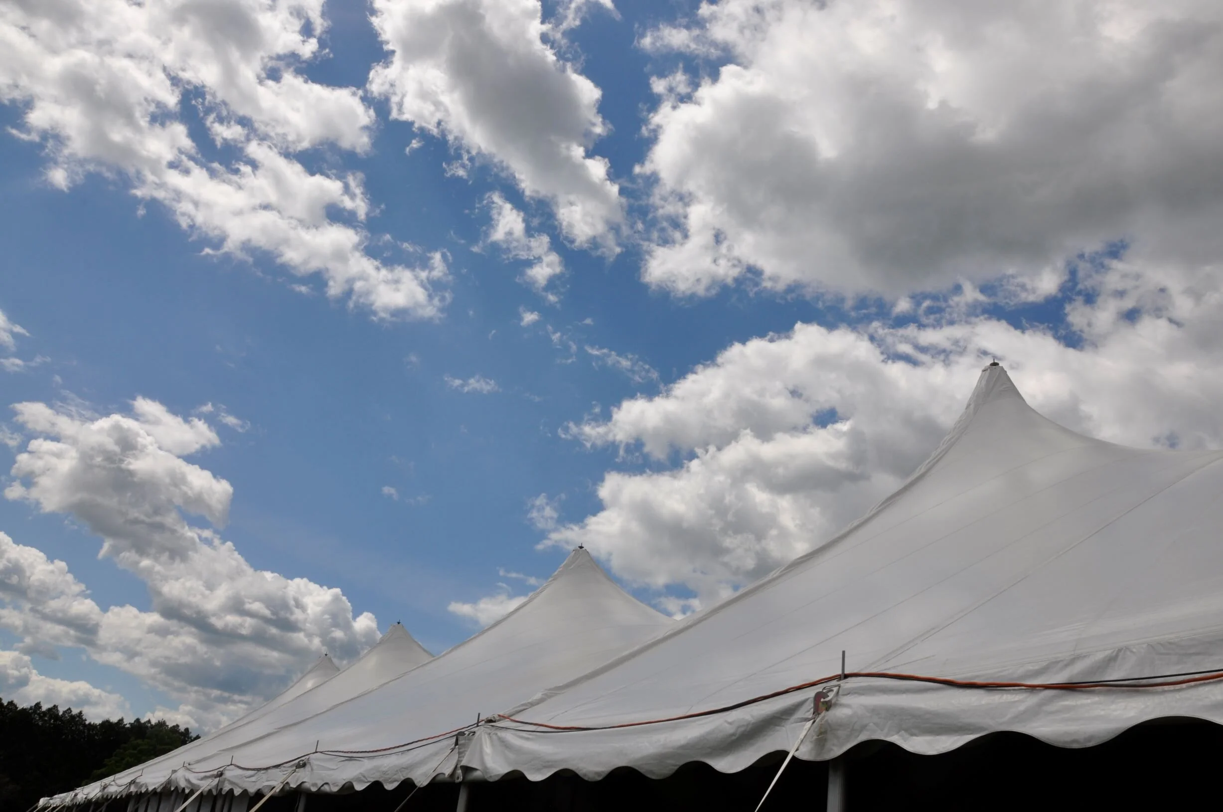  Photo by Lisa Scagliotti 