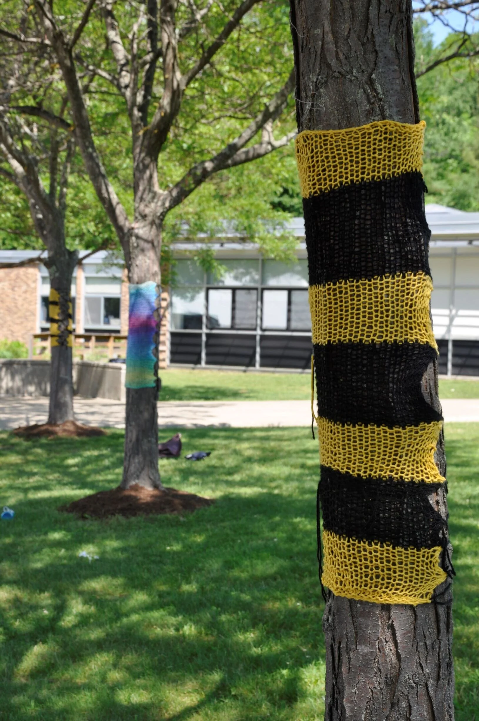  Someone made special knit decorations for the trees lining the front walk at HUHS. Photo by Lisa Scagliotti  