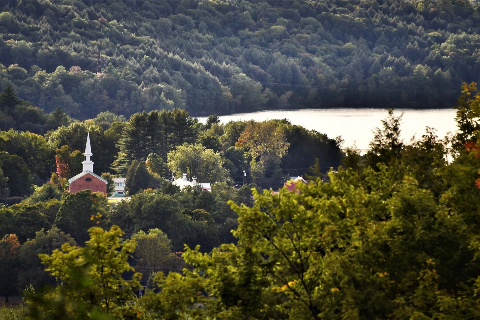 Take-out lasagna dinner this Friday