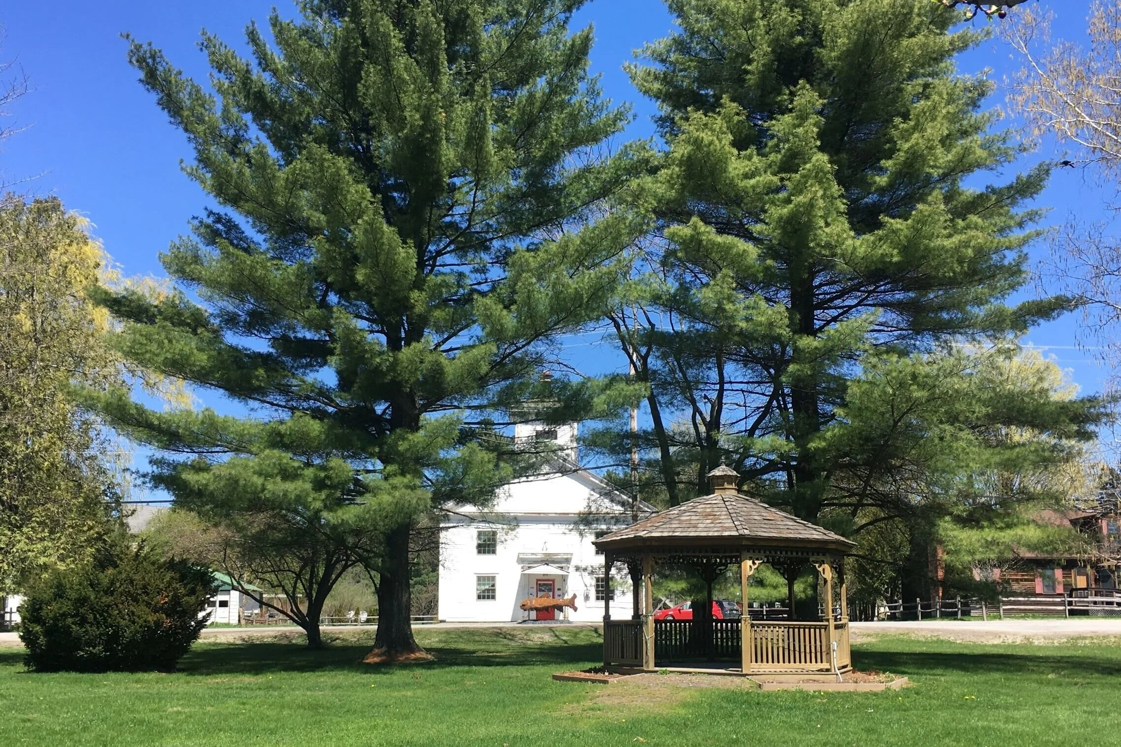 Park Dancing workshops and performances come to Waterbury Center