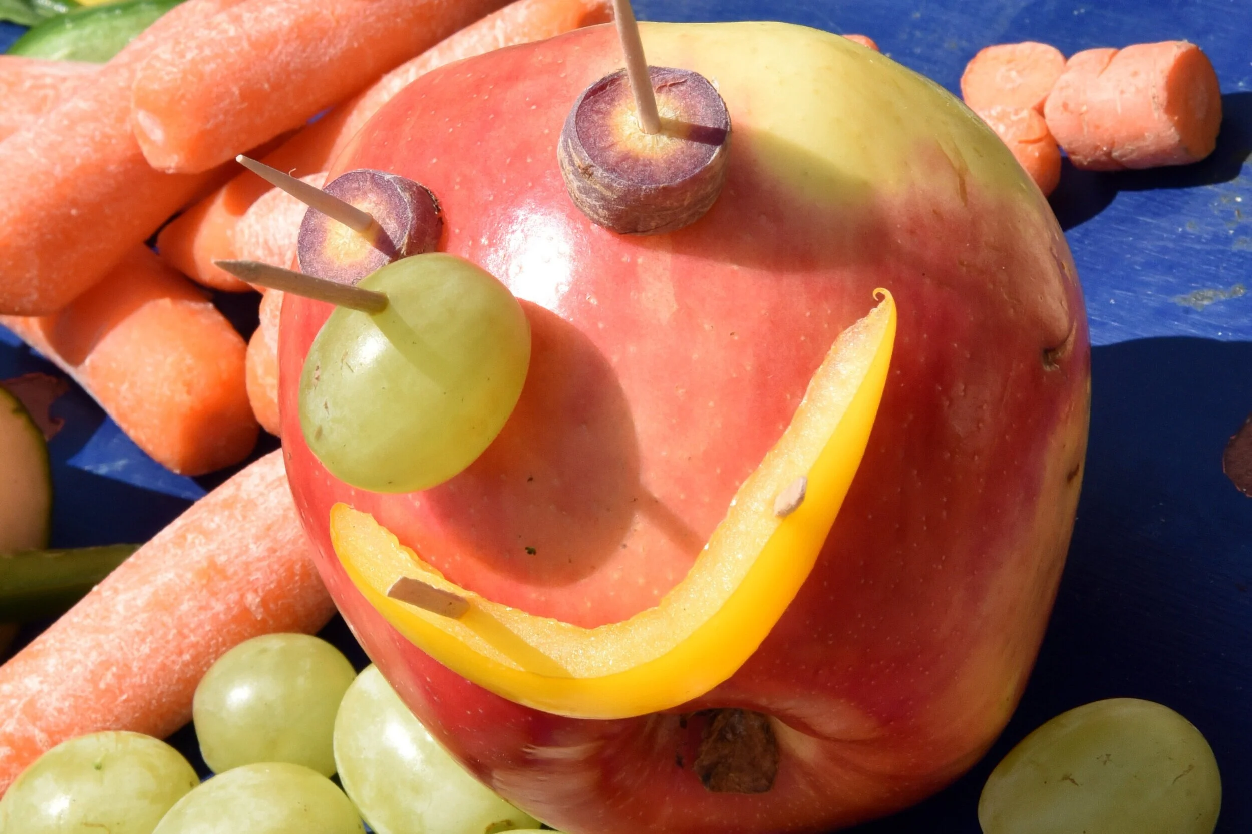 Waterbury Center Community Church Picnic