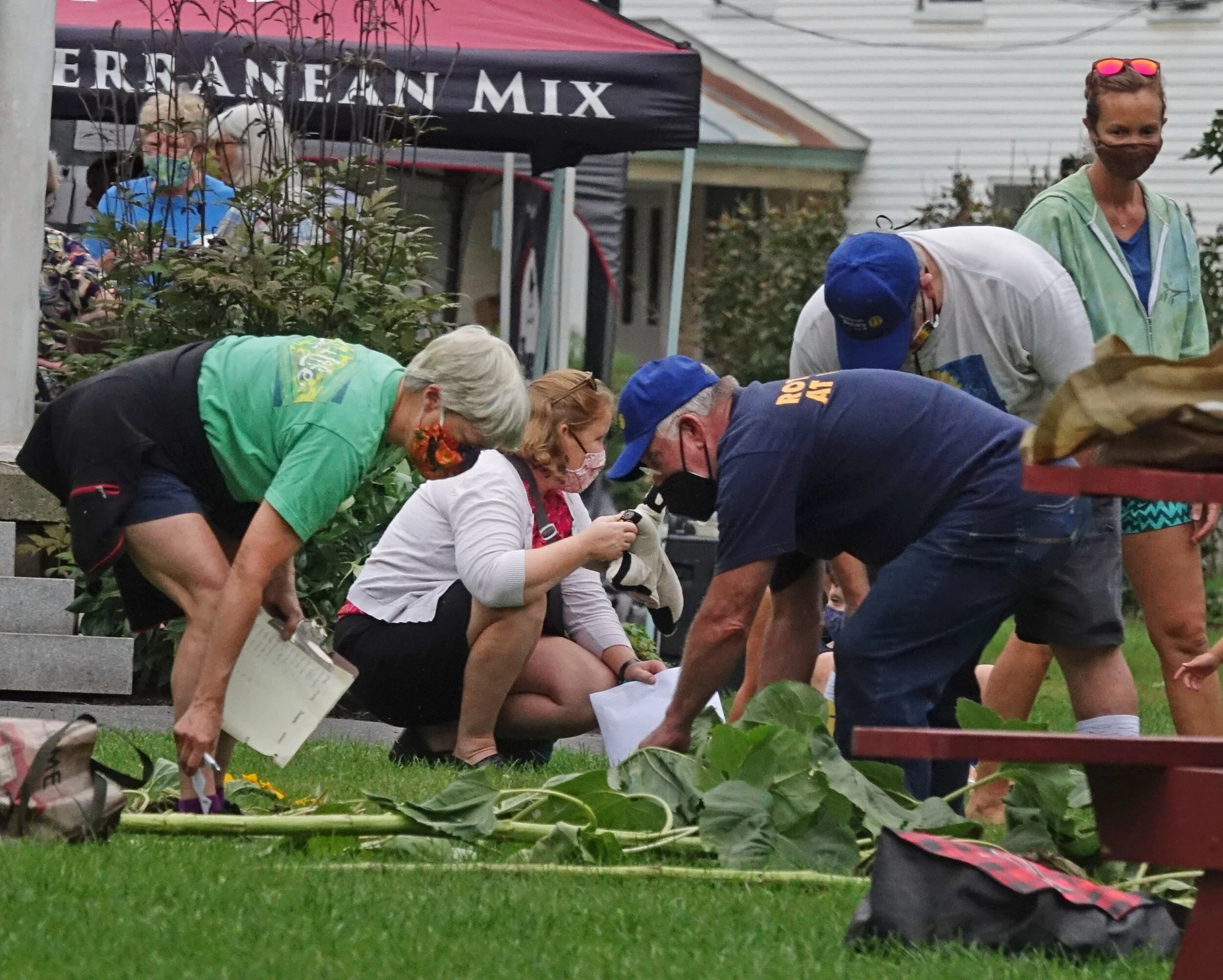 Sunzilla and the Other Green Monster weigh in