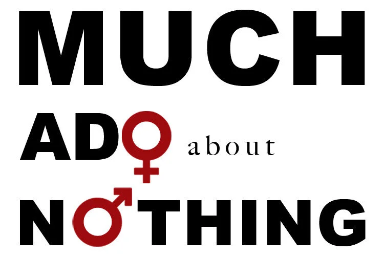 Stowe Theatre Guild postpones production over COVID-19 caution