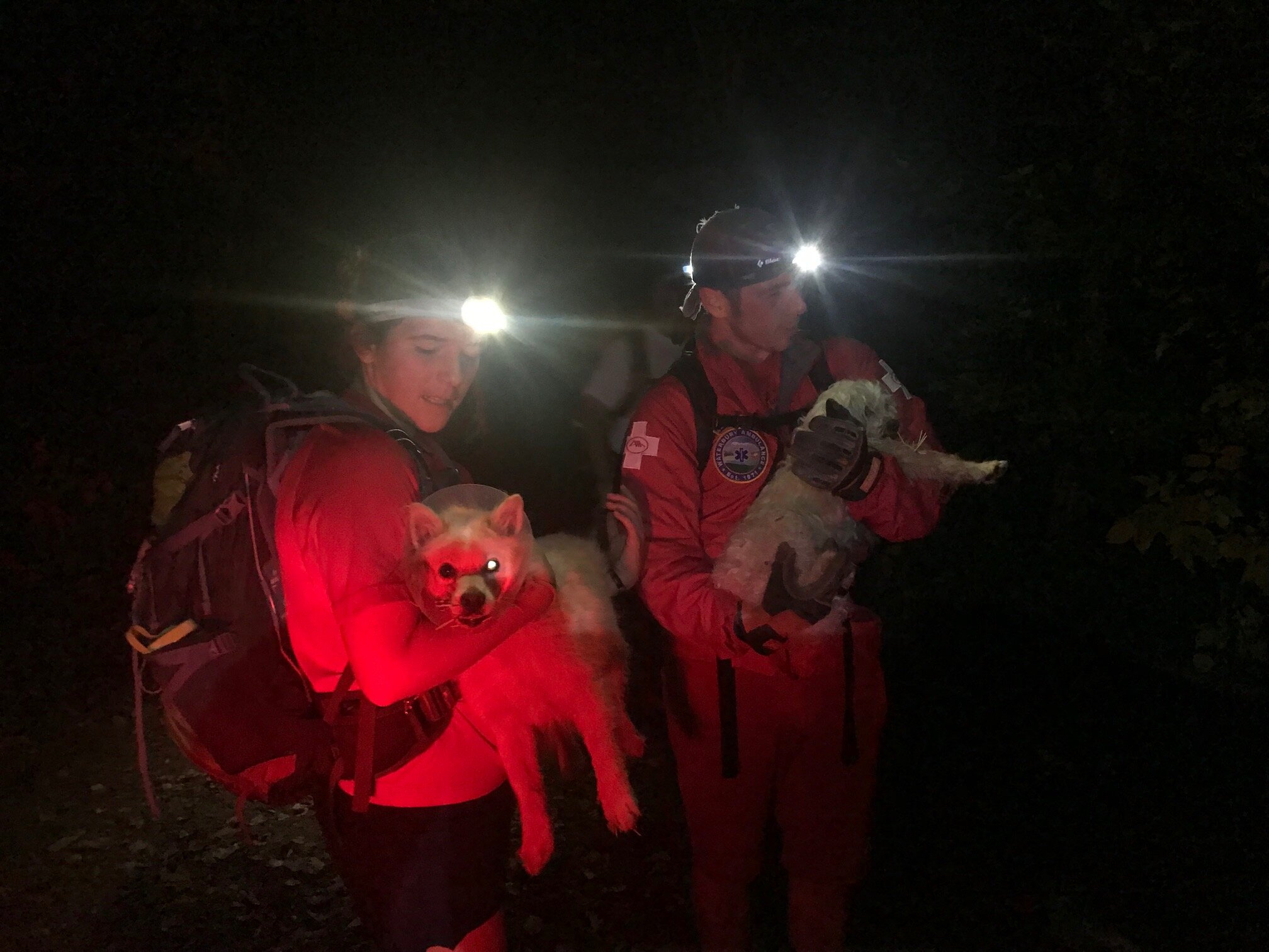 Porcupine 2, dogs 0 Backcountry rescue team logs first mission to help