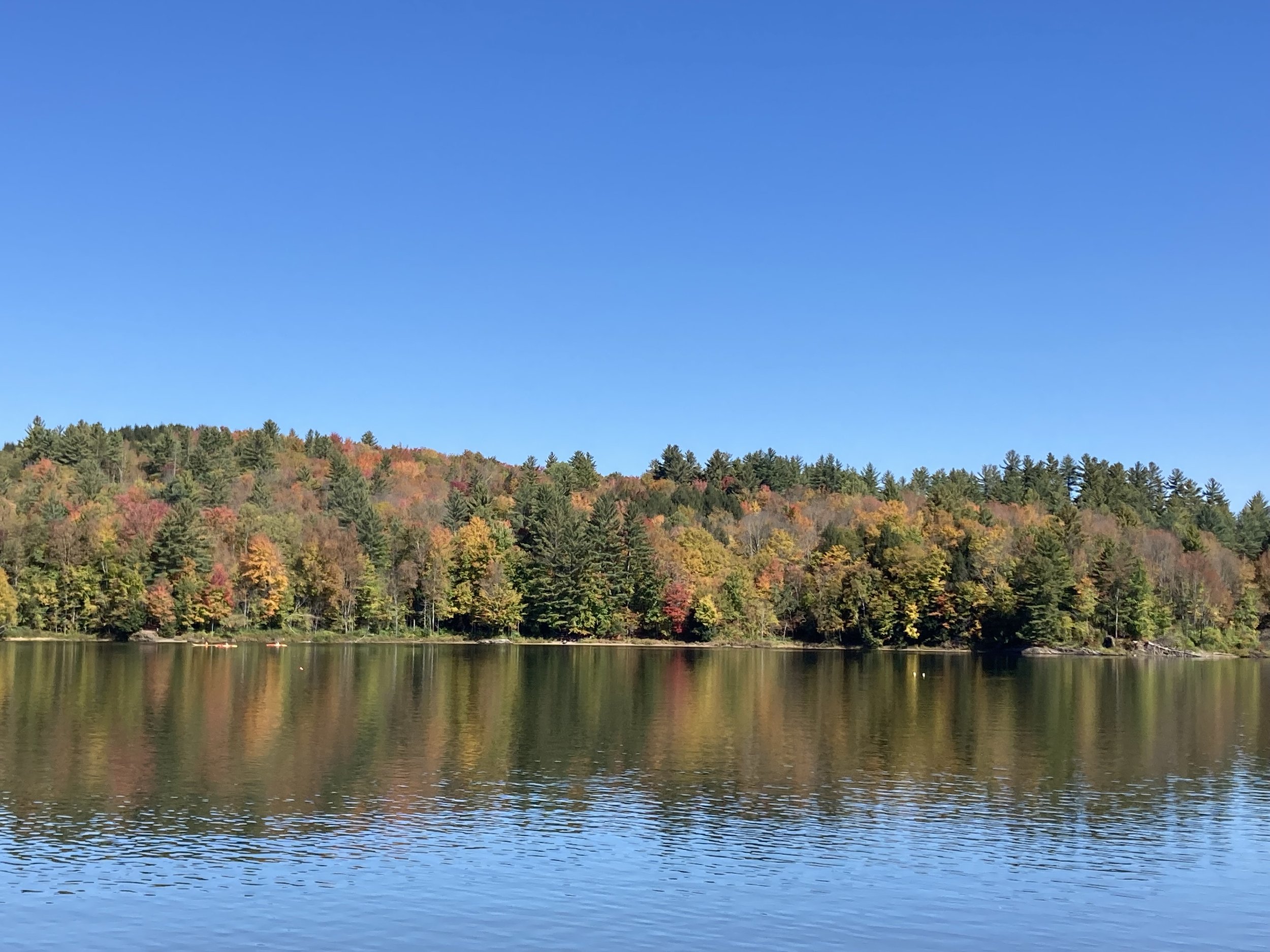   Foliage along the shore of the Waterbury Reservoir shot by Diane Gildea.  