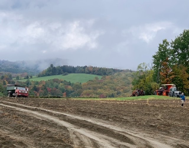   Marlene Wurtzbacher enjoys the colors during the potato harvest in Williamstown.  