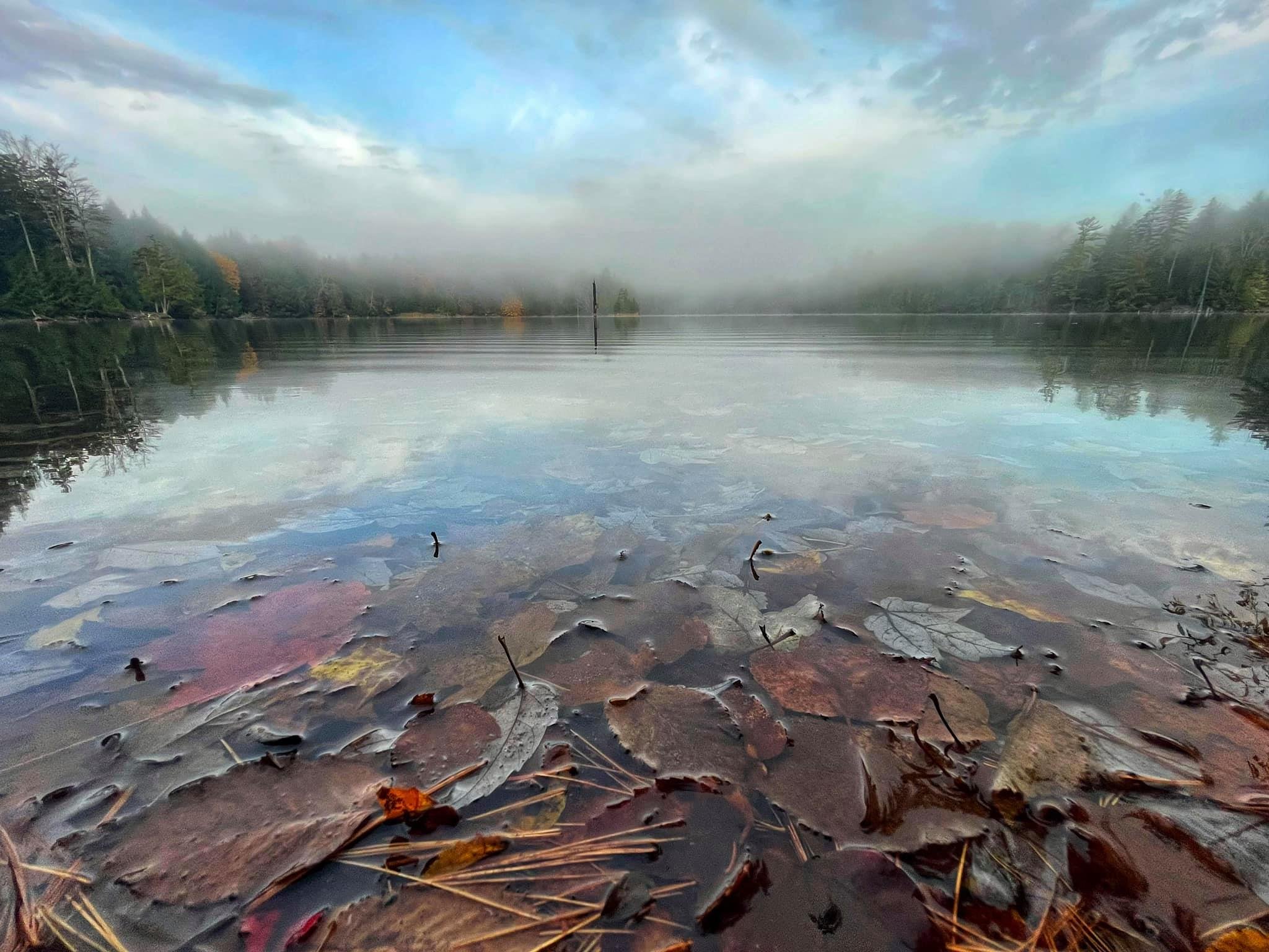   Ten-year-old Noah Burbank of Elmore composed this on his phone at a pond in Zack Woods in Hyde Park. Submitted by his grandmother Robin Spitzer who works in Waterbury.  