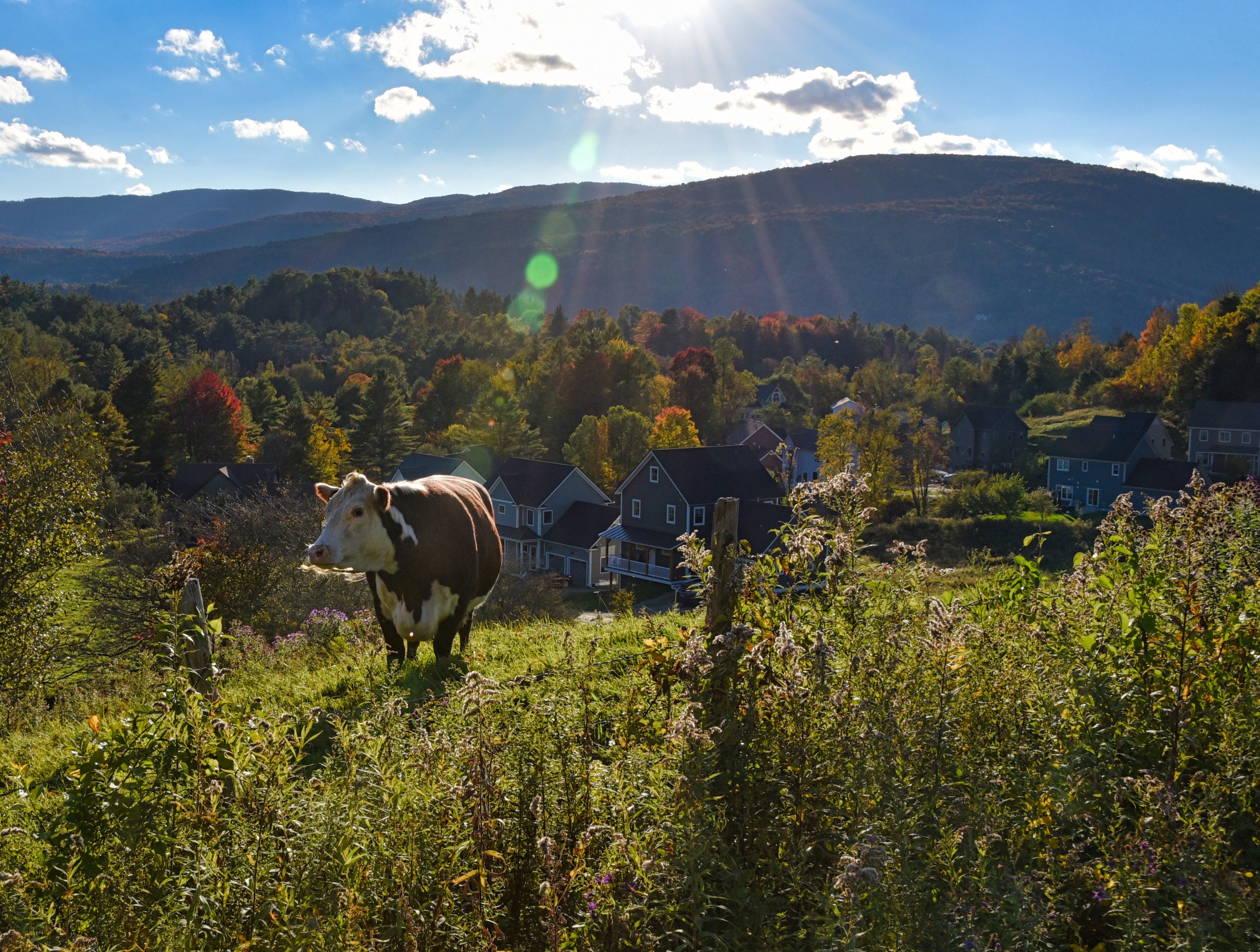  The view from the Woodruff farm on Perry Hill recently. Photo by Gordon Miller 