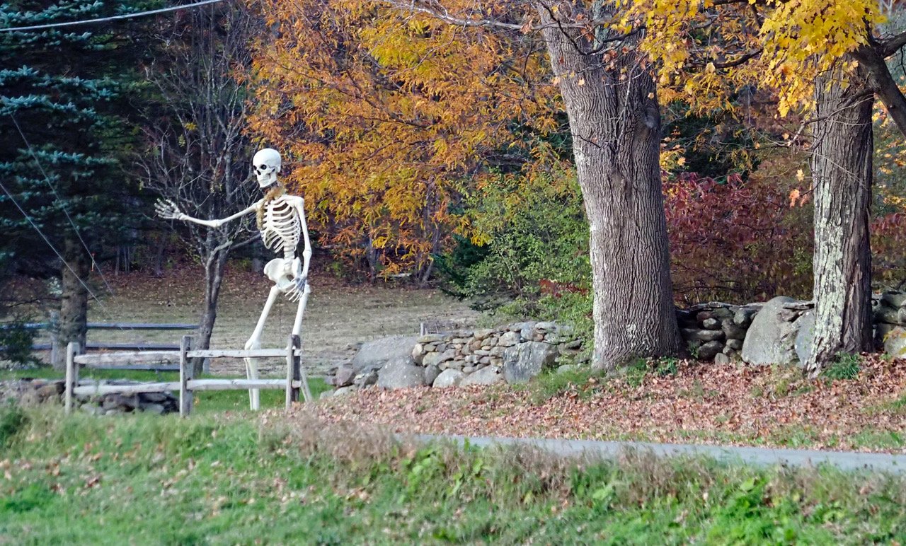  Passersby on Barnes Hill might have done a double-take recently seeing this friendly skeleton. Photo by Gordon Miller 