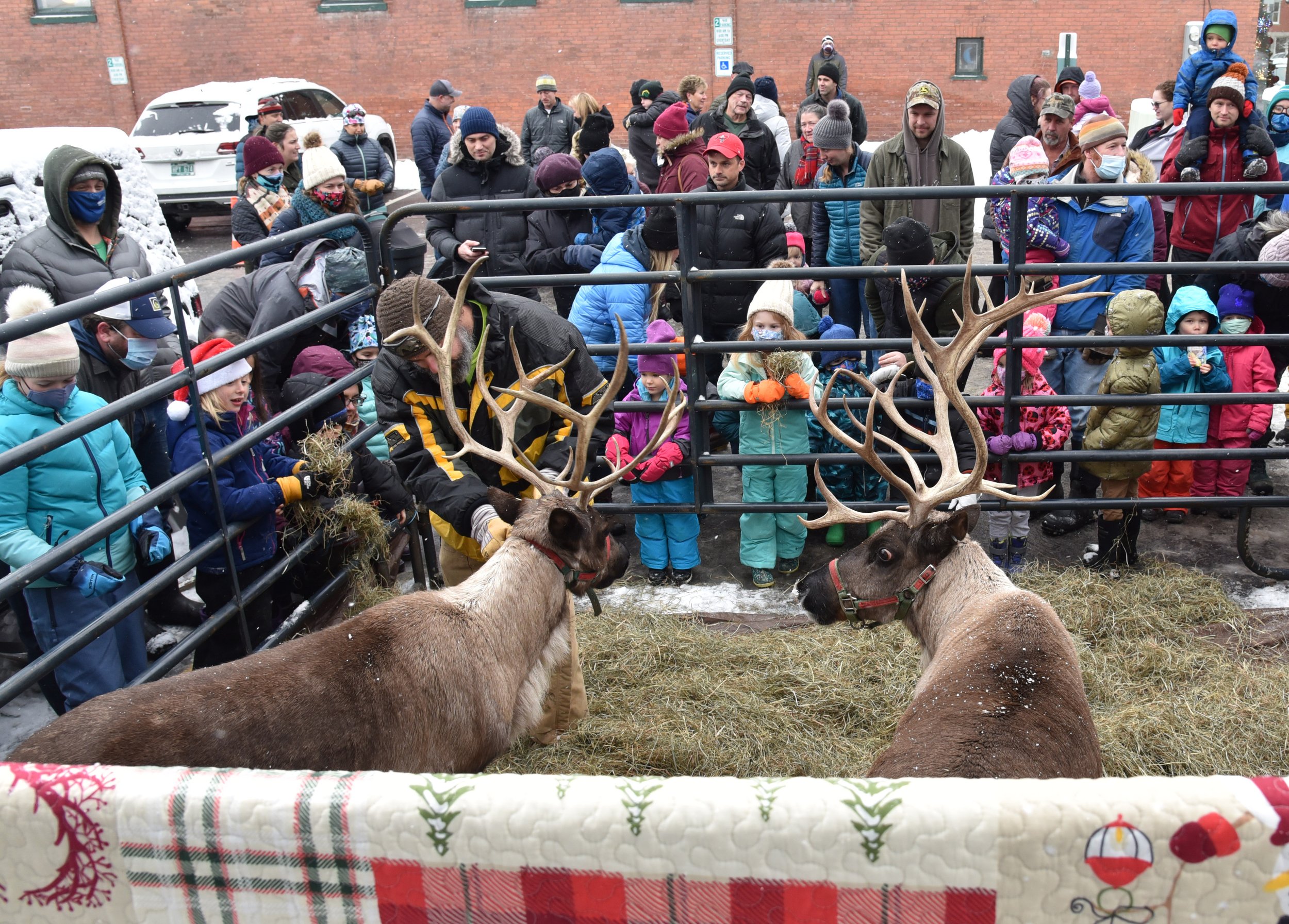  The reindeer delight holiday shoppers of all ages. Photo by Gordon Miller 
