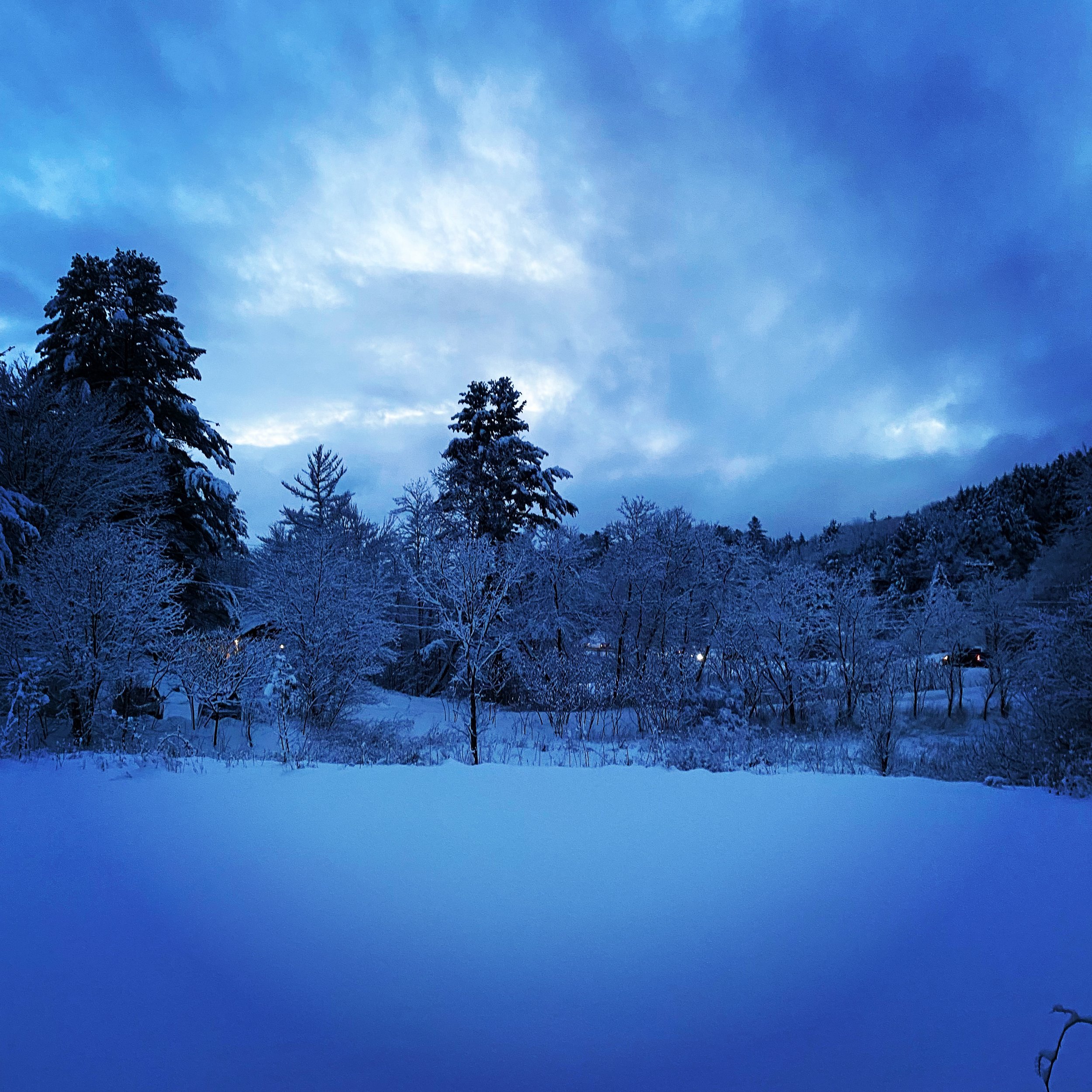   "I took this one at dusk looking out the windows of The Forge gym," wrote owner Heather Smith. "With all our windows, we felt like we were in a snow globe all day. Beautiful!"  