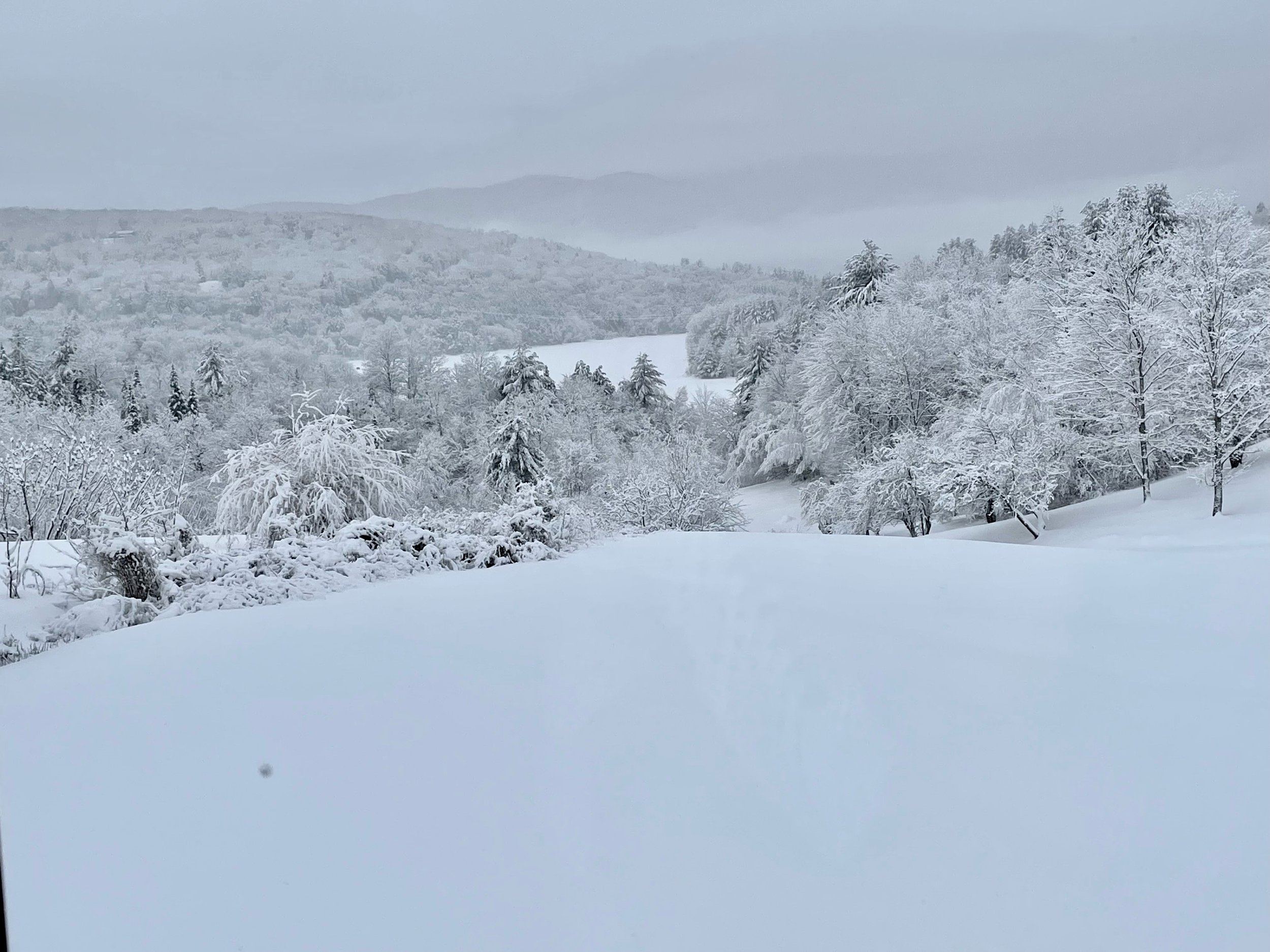   You can almost hear how quiet it is at the Waterbury Reservoir as snow blankets the trees, hillsides and ice. Photo by Andrea Barber  