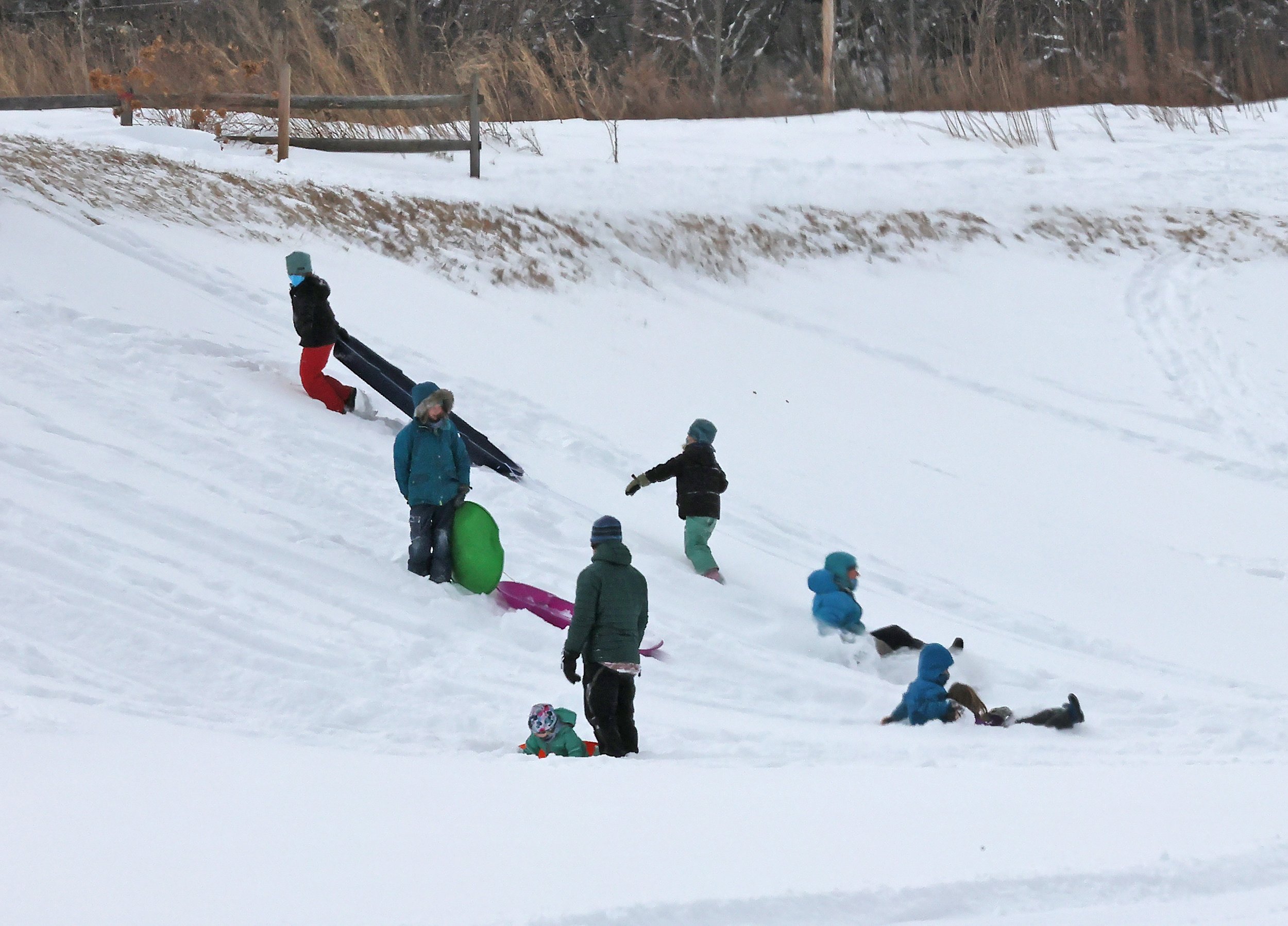   The Children's Room hosted sledding and some serious fort-building behind Waterbury Public Library on the big hill in Dac Rowe Park. Photo by Gordon Miller.  