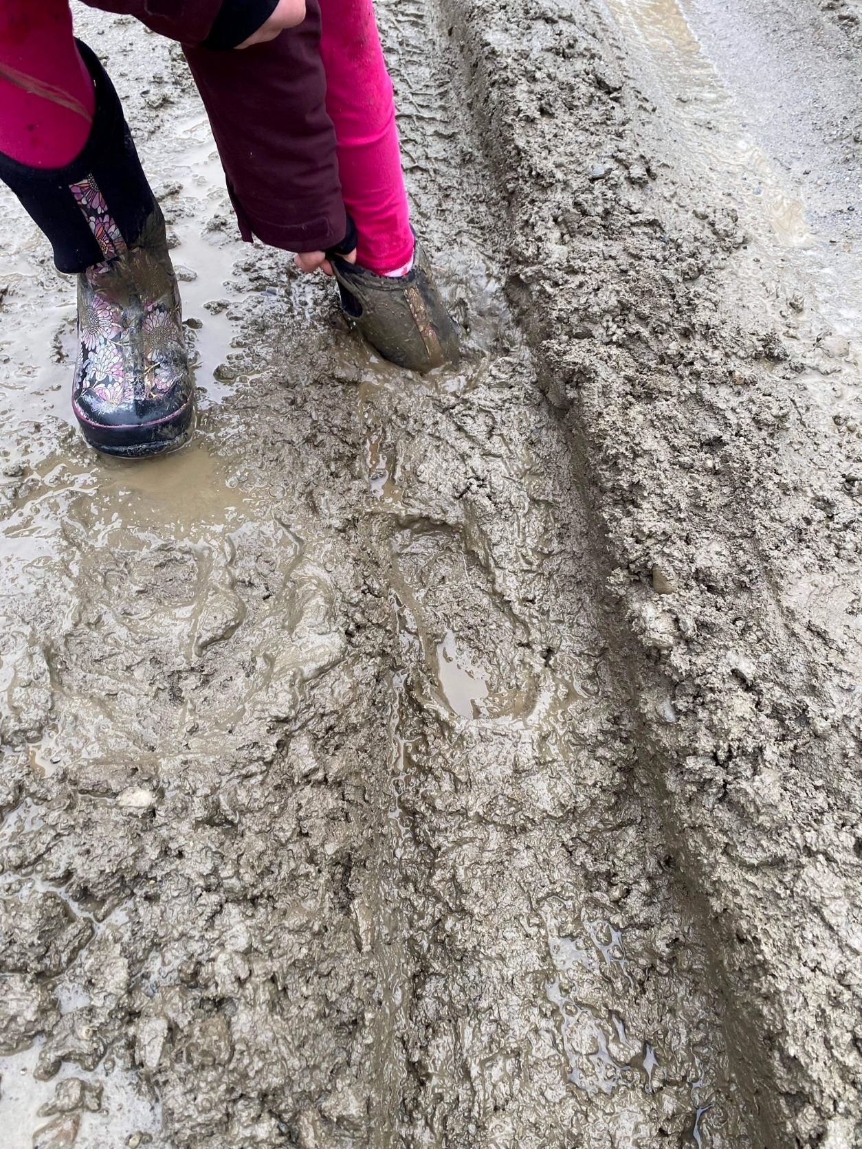  Emaline Dubois nearly loses a mud boot in a rut on Crossett Hill in Duxbury. Photo by Molly Dubois 