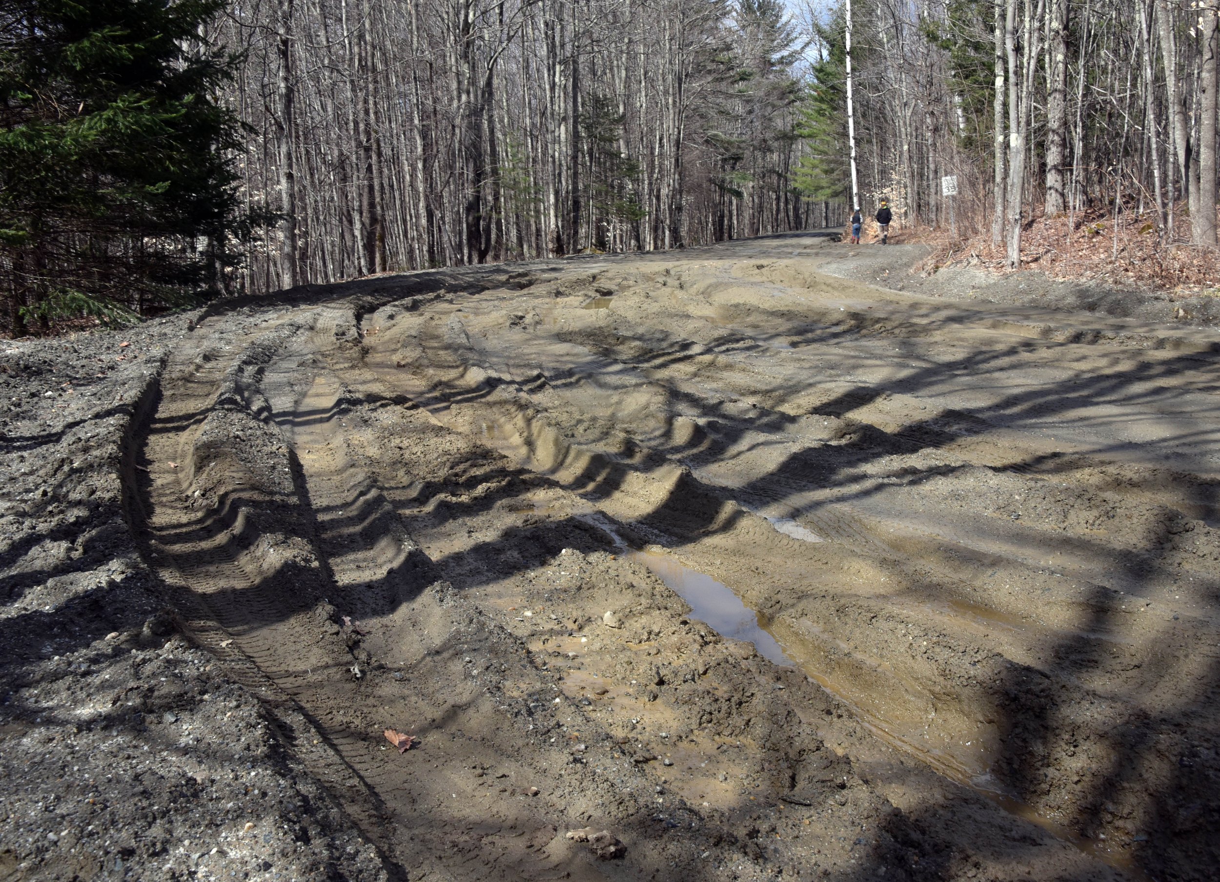  Shadows cast a zig-zag pattern on the muddy ruts along Valley View Road. Photo by Gordon Miller 