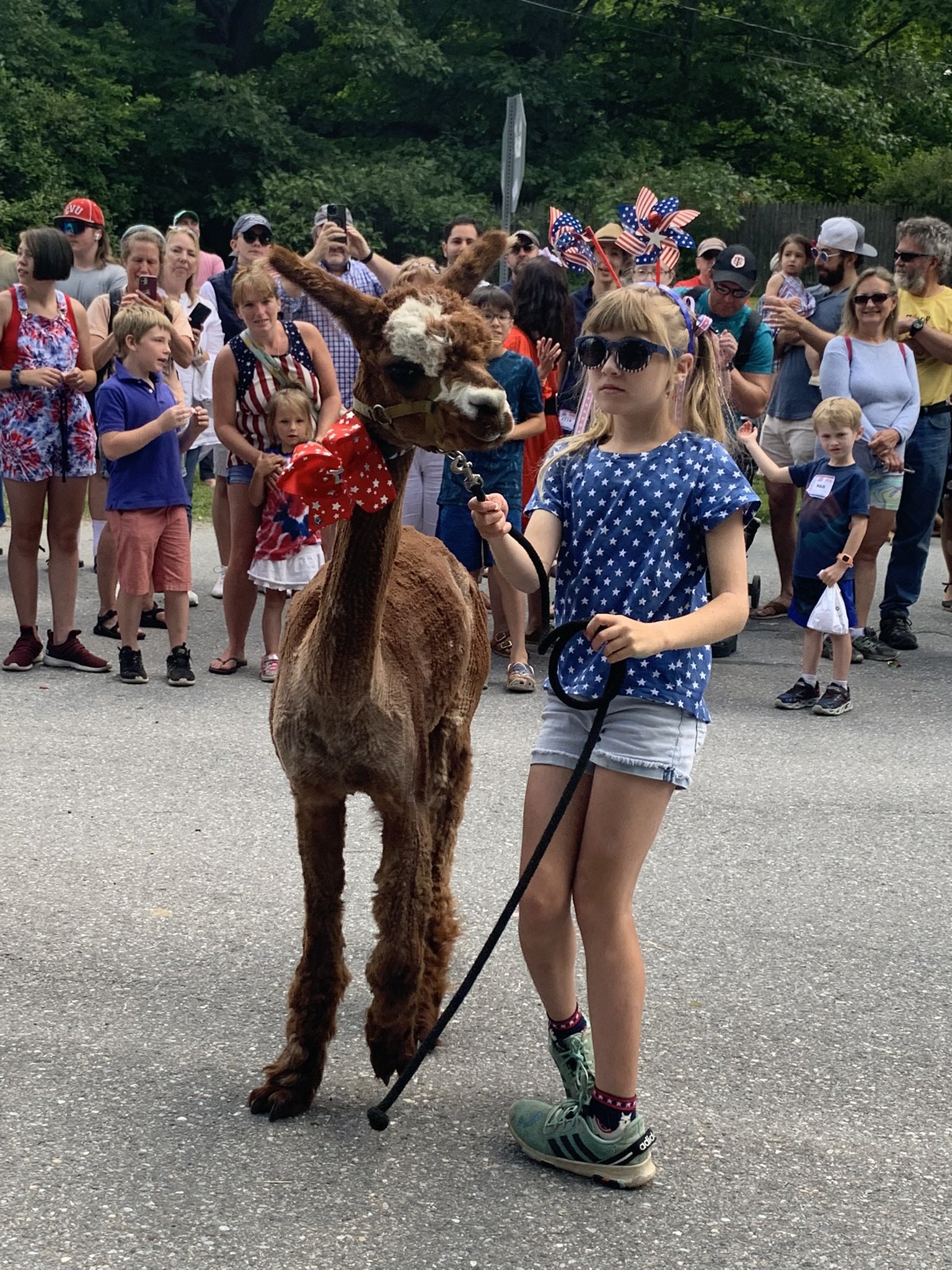 girl and alpaca.jpeg