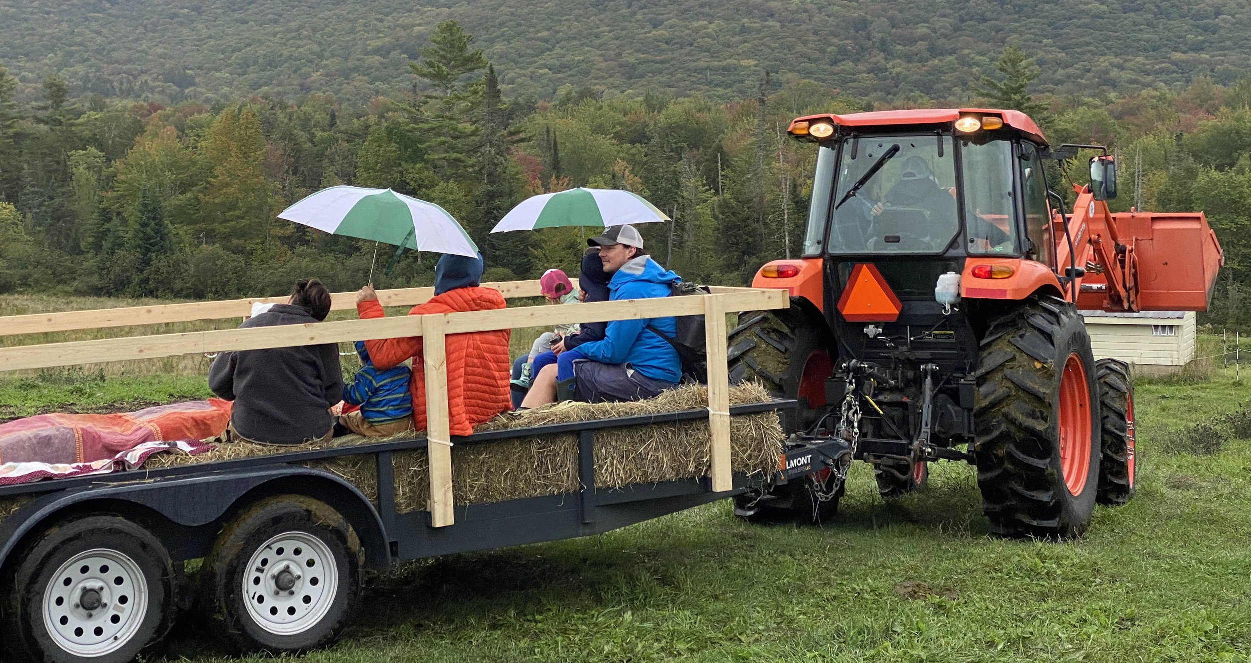  Rich Quevedo, from Elmore but originally from Waterbury, showed up with a tractor and wagons for hayrides that didn’t stop for three hours. Photo by Gordon Miller 