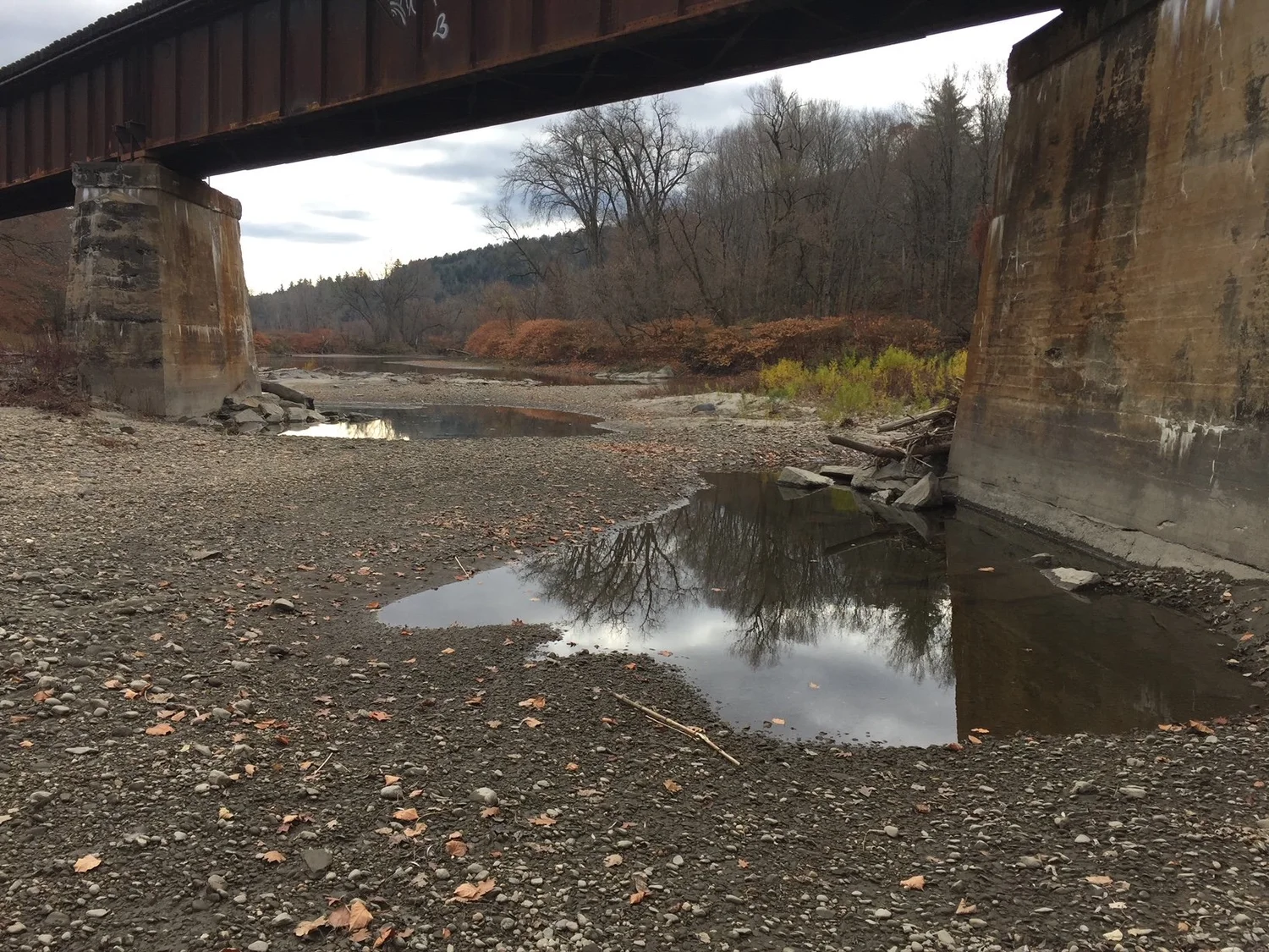 Investigators examine items found in Messier disappearance case