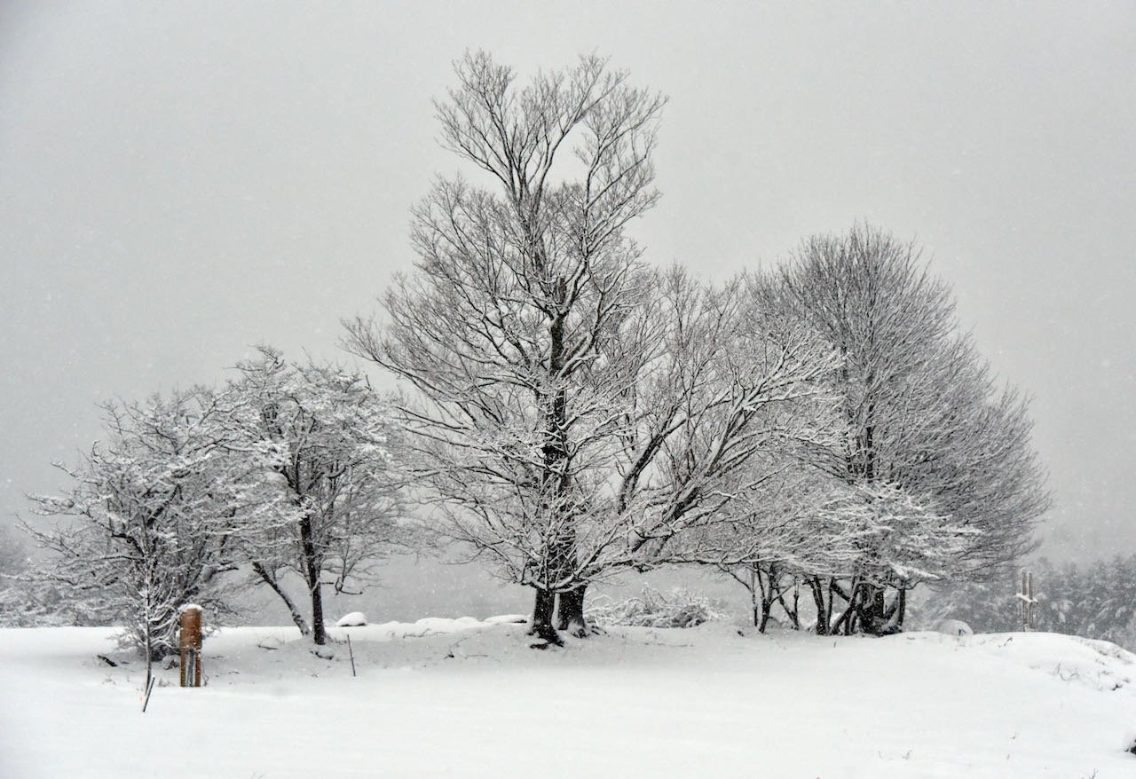  On Blush Hill. Photo by Gordon Miller 