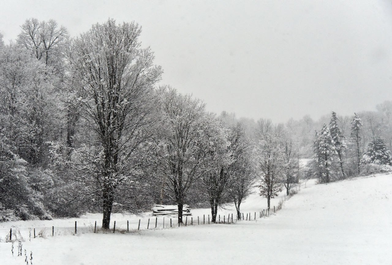  Along Guptil Road. Photo by Gordon Miller 