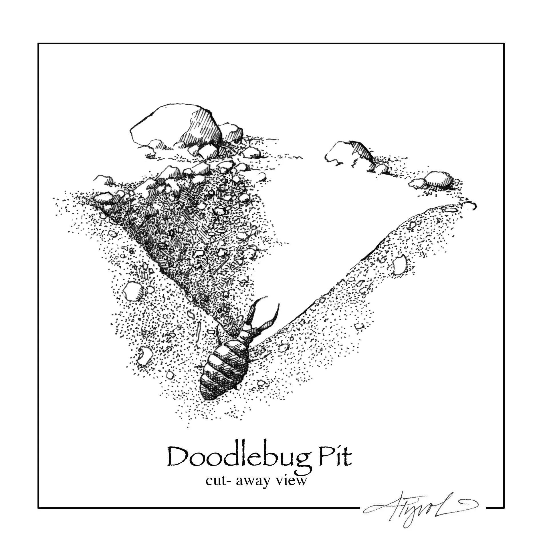 How To Draw A Doodlebug