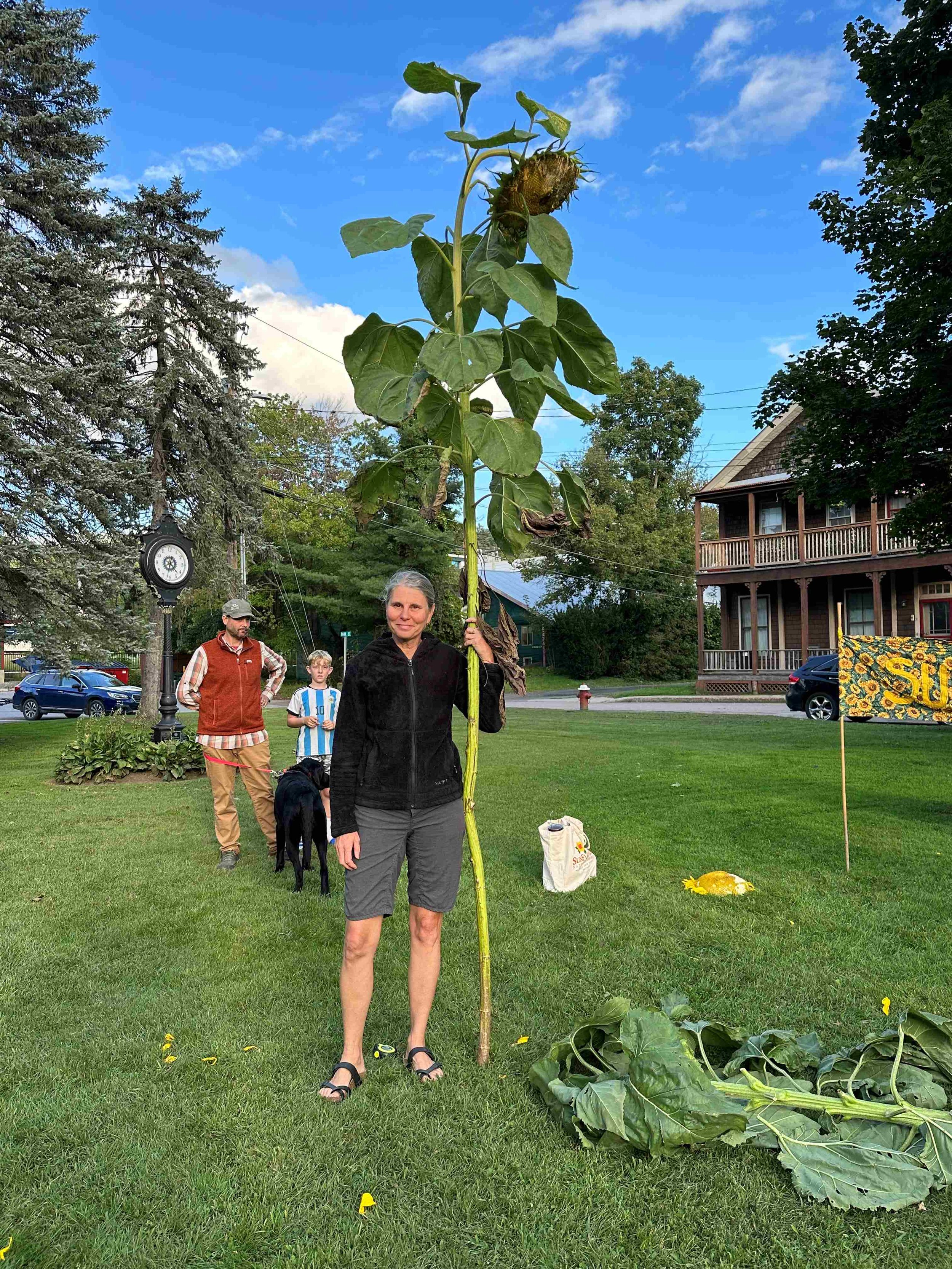  Jen Dean with her giant 10’ 4” sunflower entry.  Photo by Lisa Scagliotti 