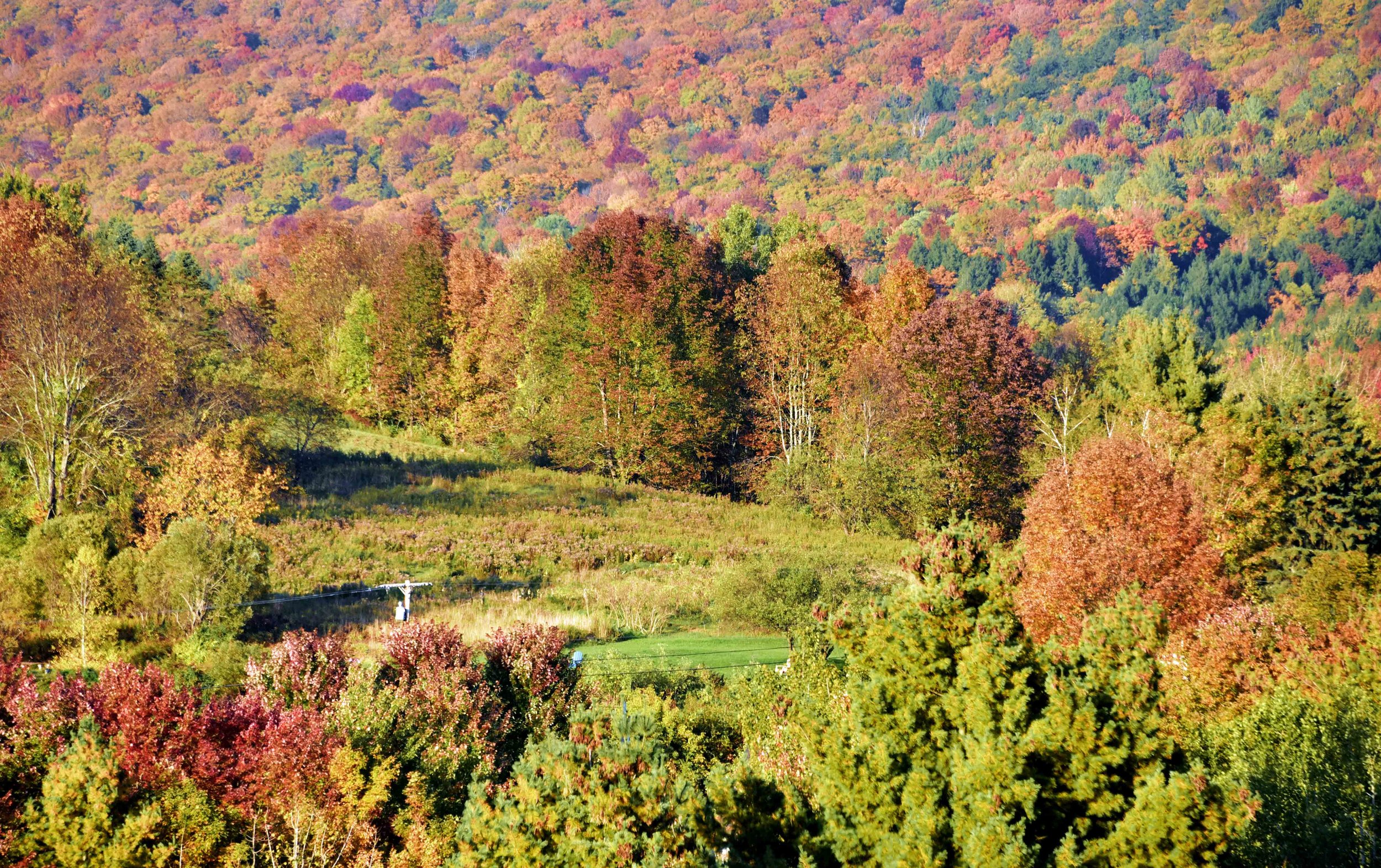  Early October view from Kneeland Hill. Photo by Gordon Miller 