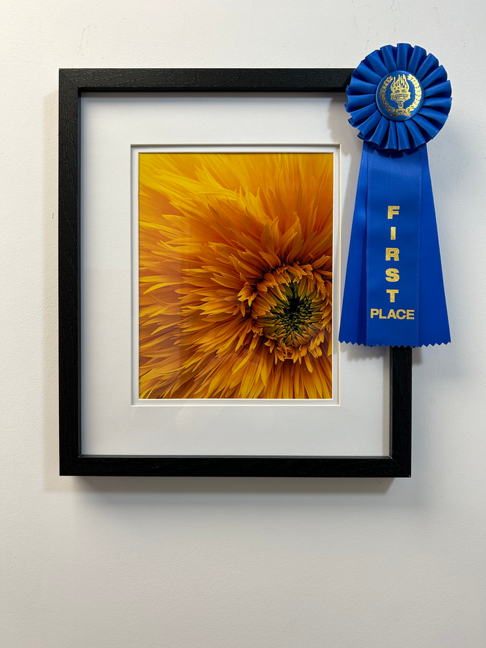 Axel’s Gallery announces 2023 Photo Shoot-Out Winners