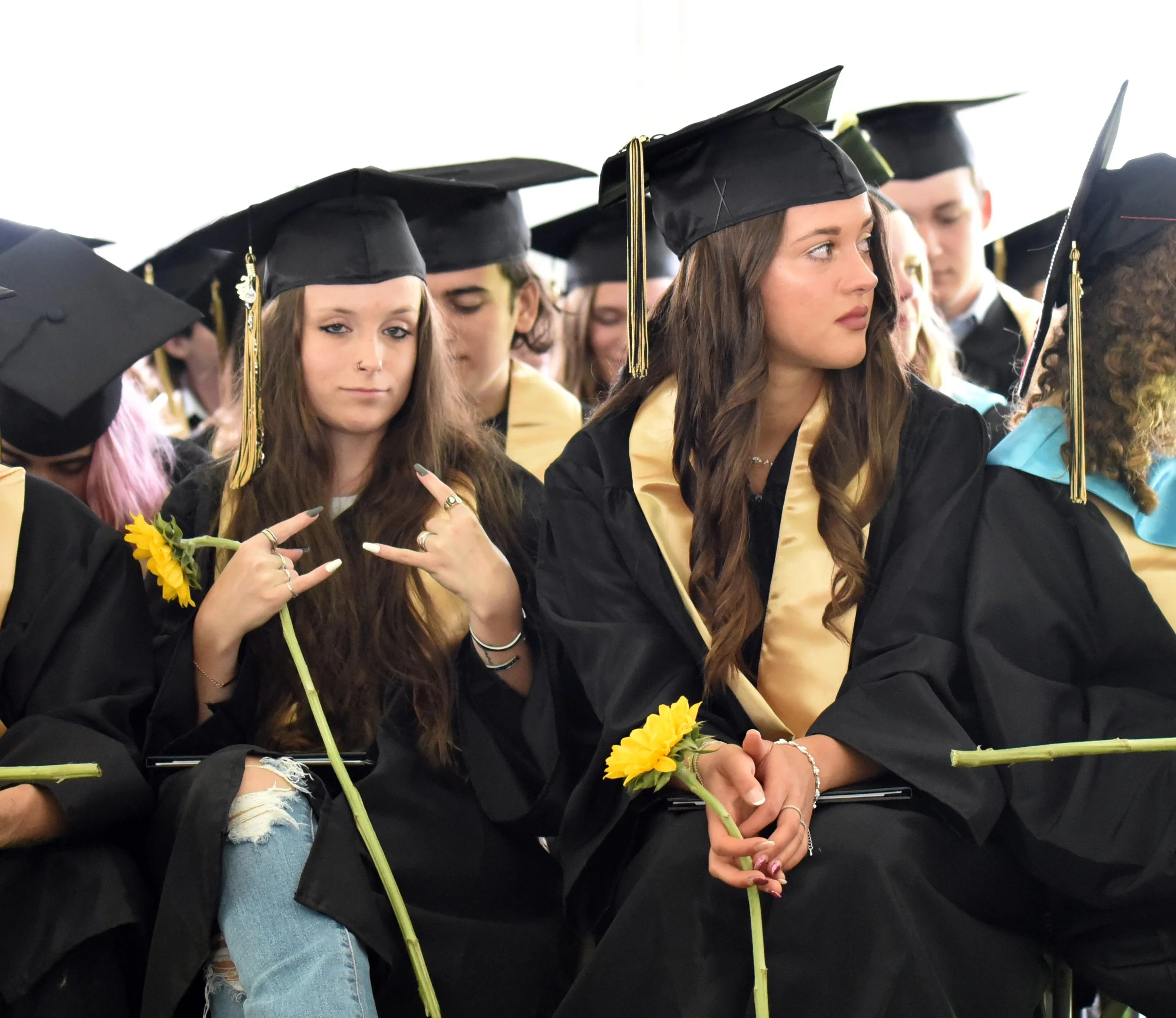 Harwood Grad 413 gm.jpg