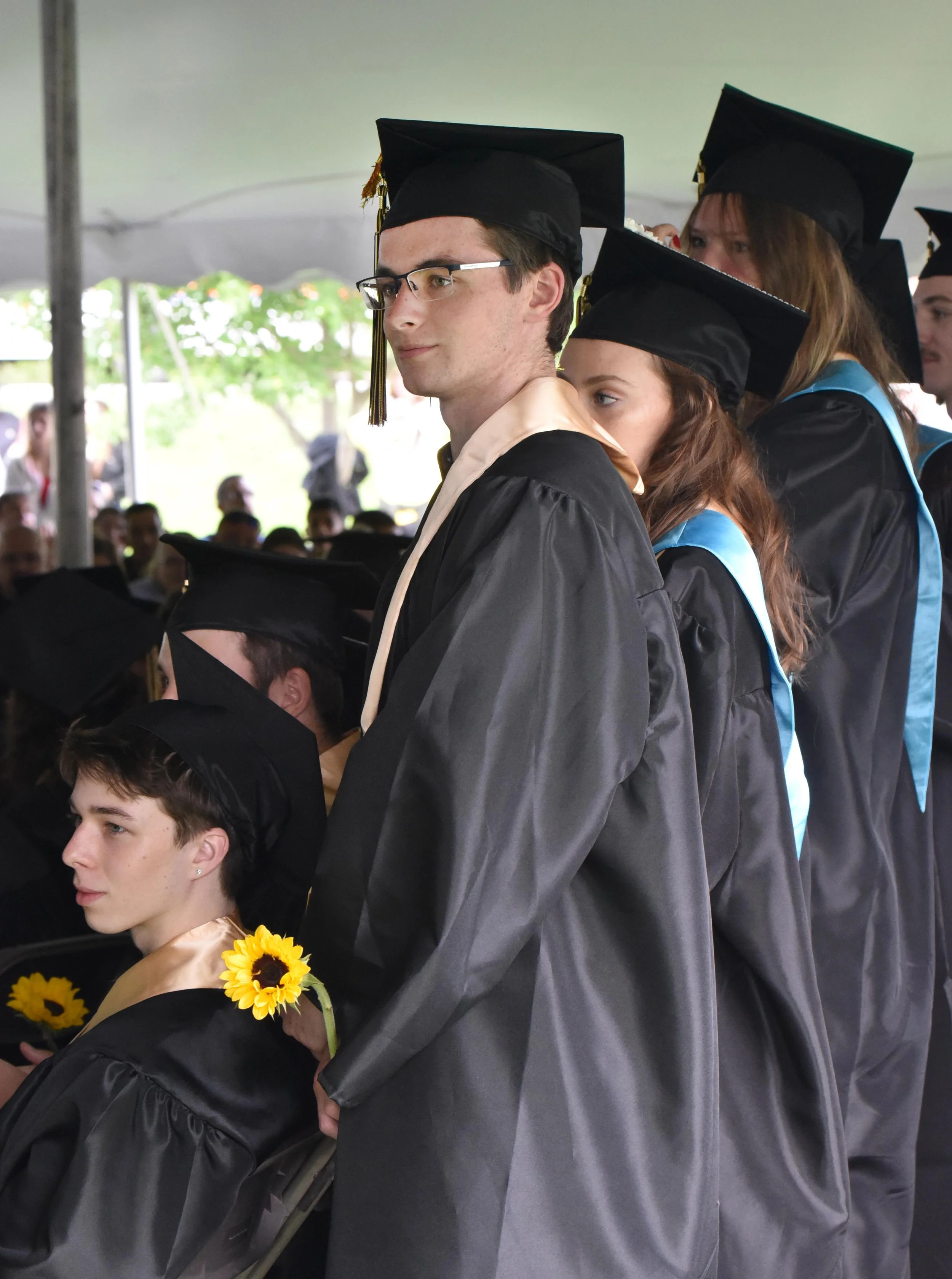 Harwood Grad 417 gm.jpg
