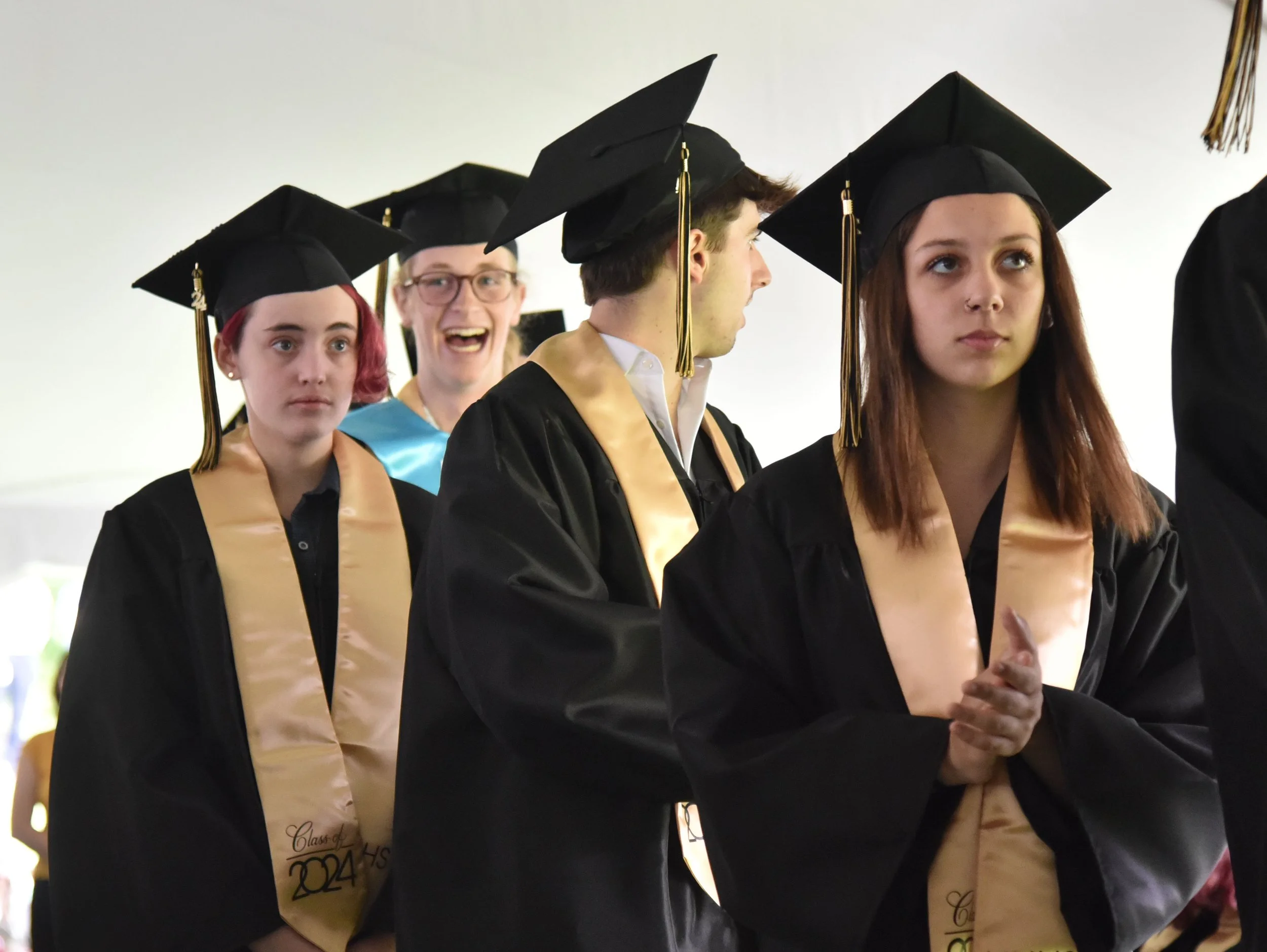Harwood Grad 421 gm.jpg