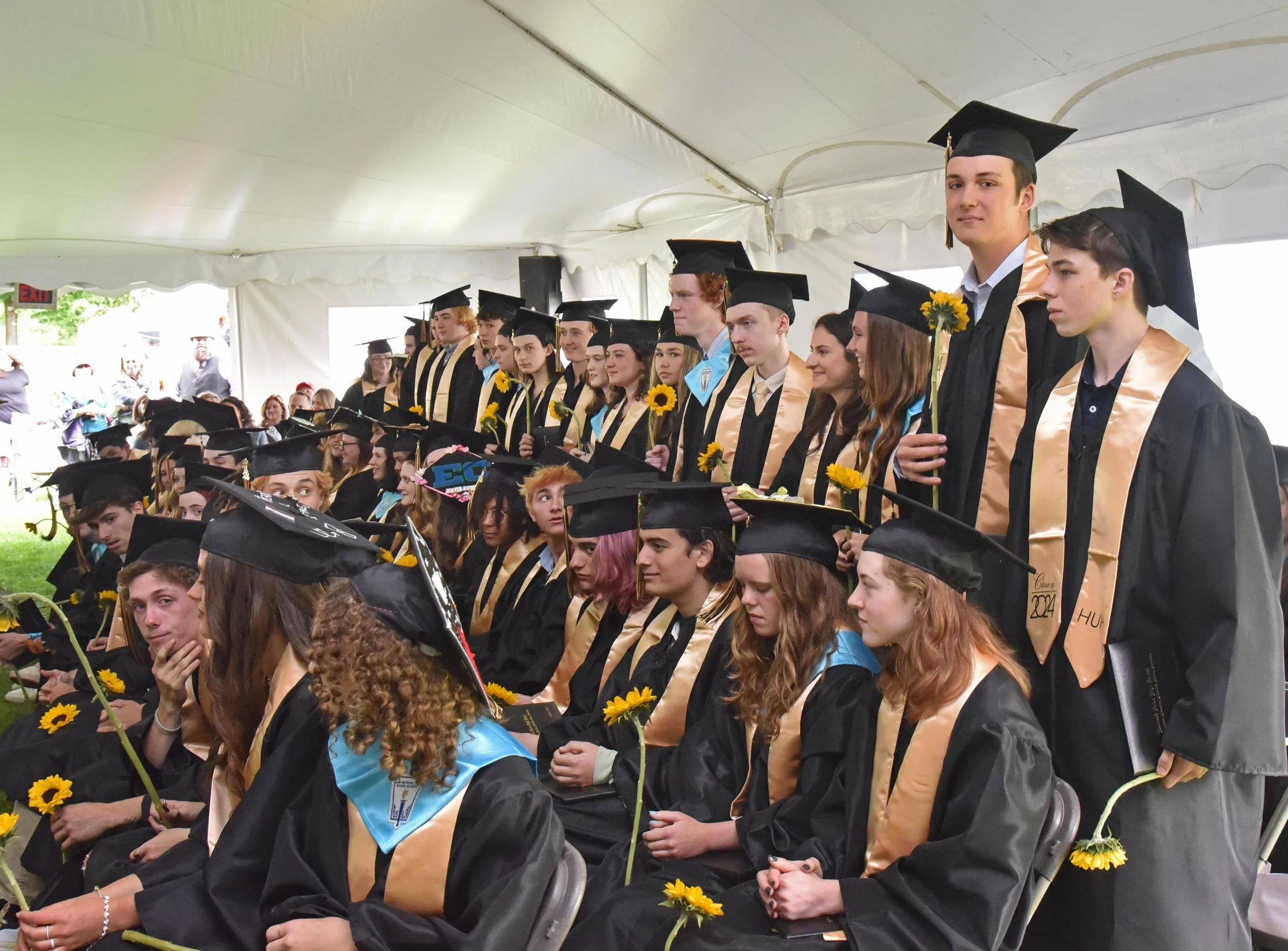 Harwood Grad 436 gm.jpg