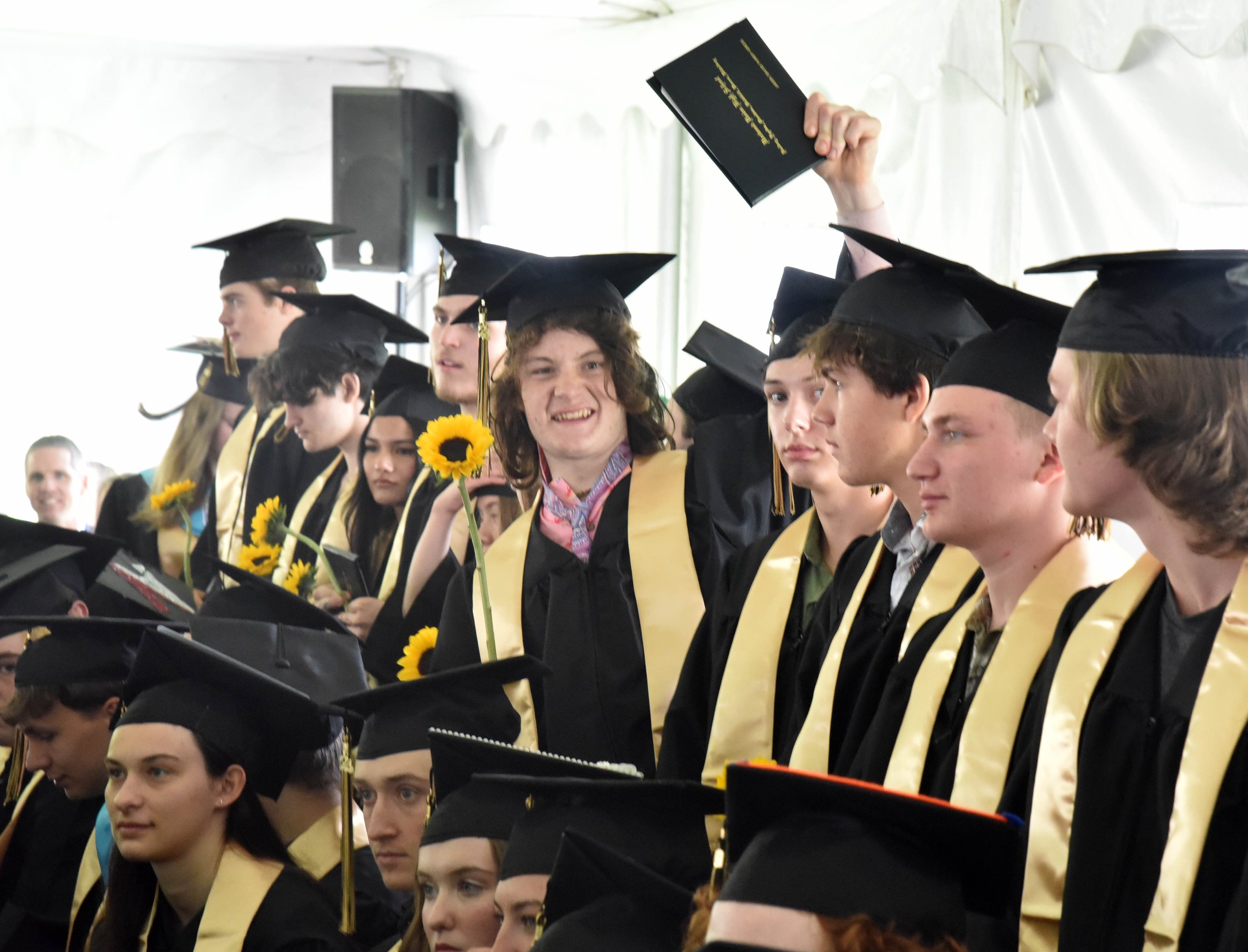 Harwood Grad 440 gm.jpg