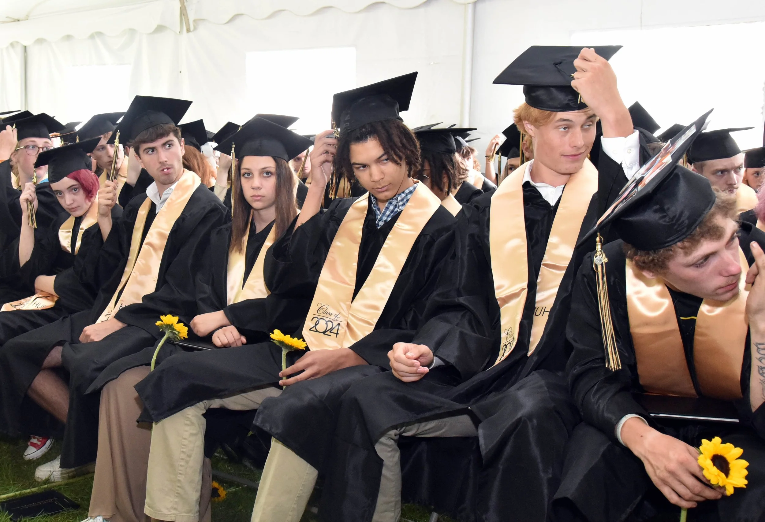 Harwood Grad 445a gm.jpg