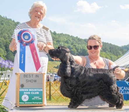 Vermont’s largest dog show runs July 11-14 at the Tunbridge Fairgrounds 