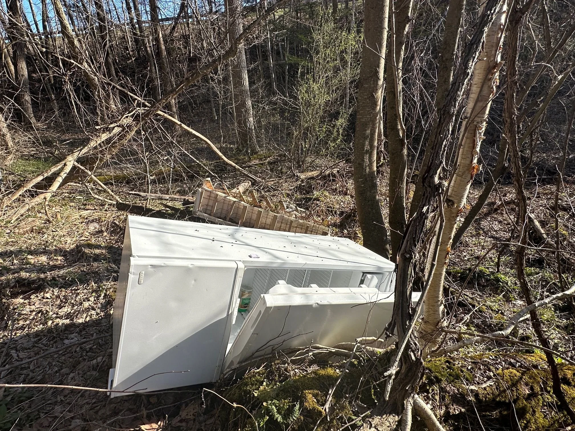  A fridge dumped along Farr Road. Photo by Lisa Scagliotti 