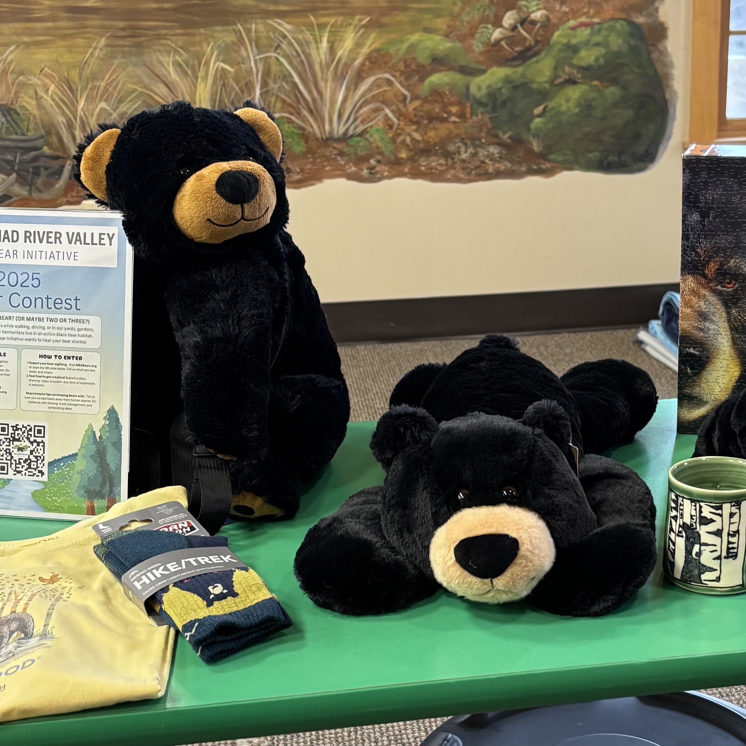 2025 Mad River Valley Bear Contest is open