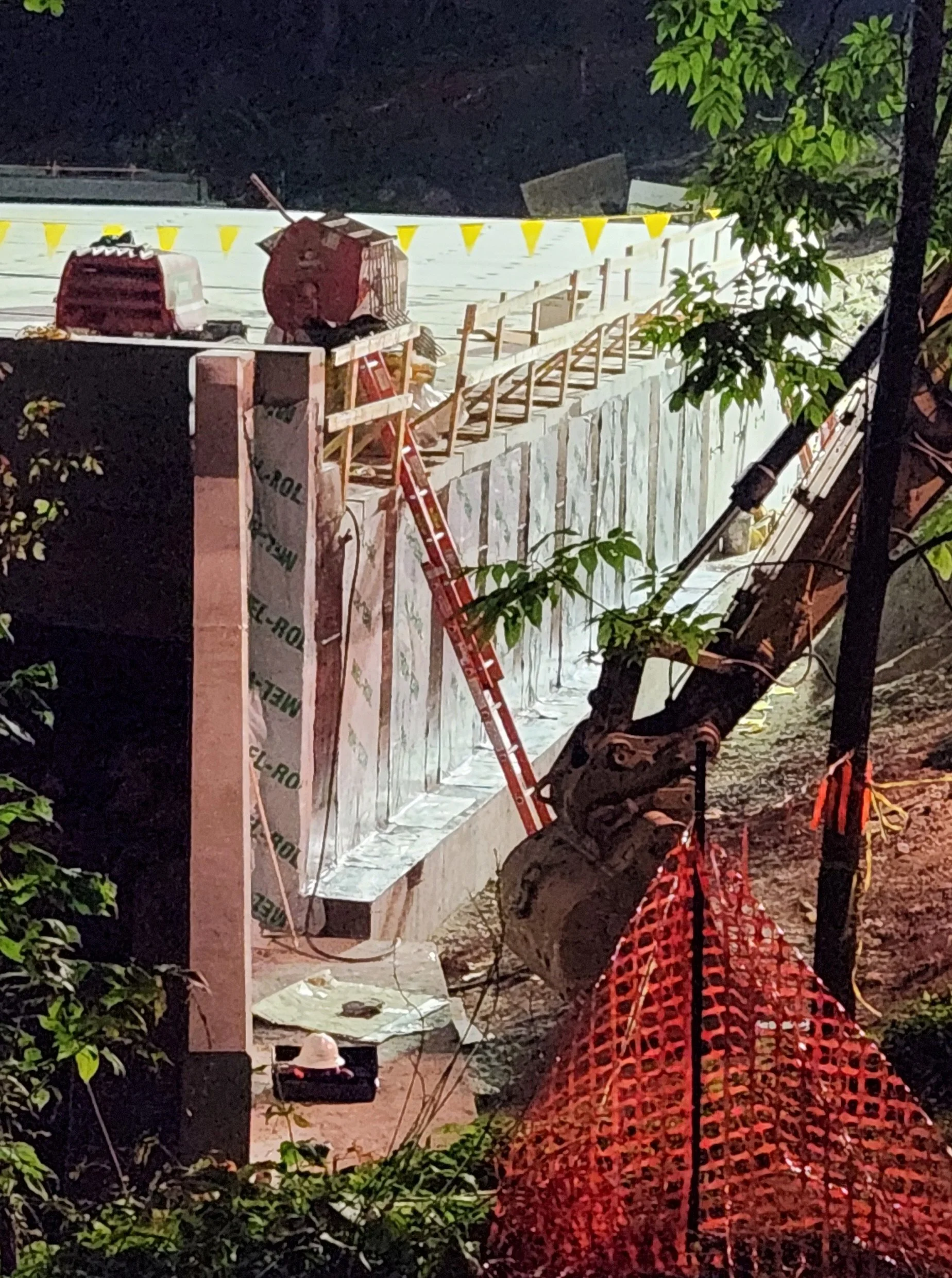   Detail, Aug. 11. Photo by Jeanne Atchinson  