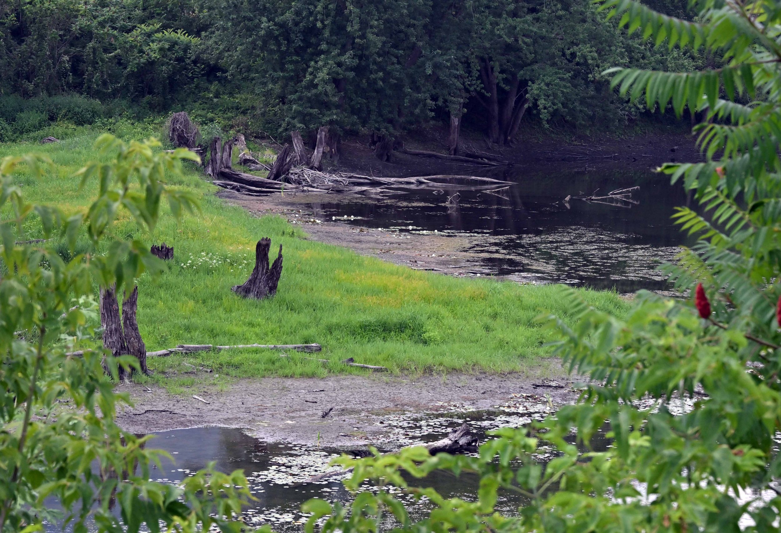  Butler Pond.&nbsp;Photo by Gordon Miller 