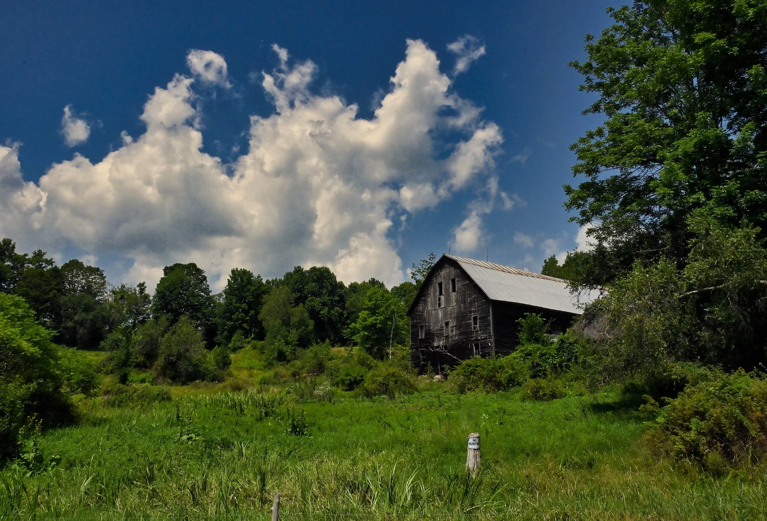  Photo by Gordon Miller 
