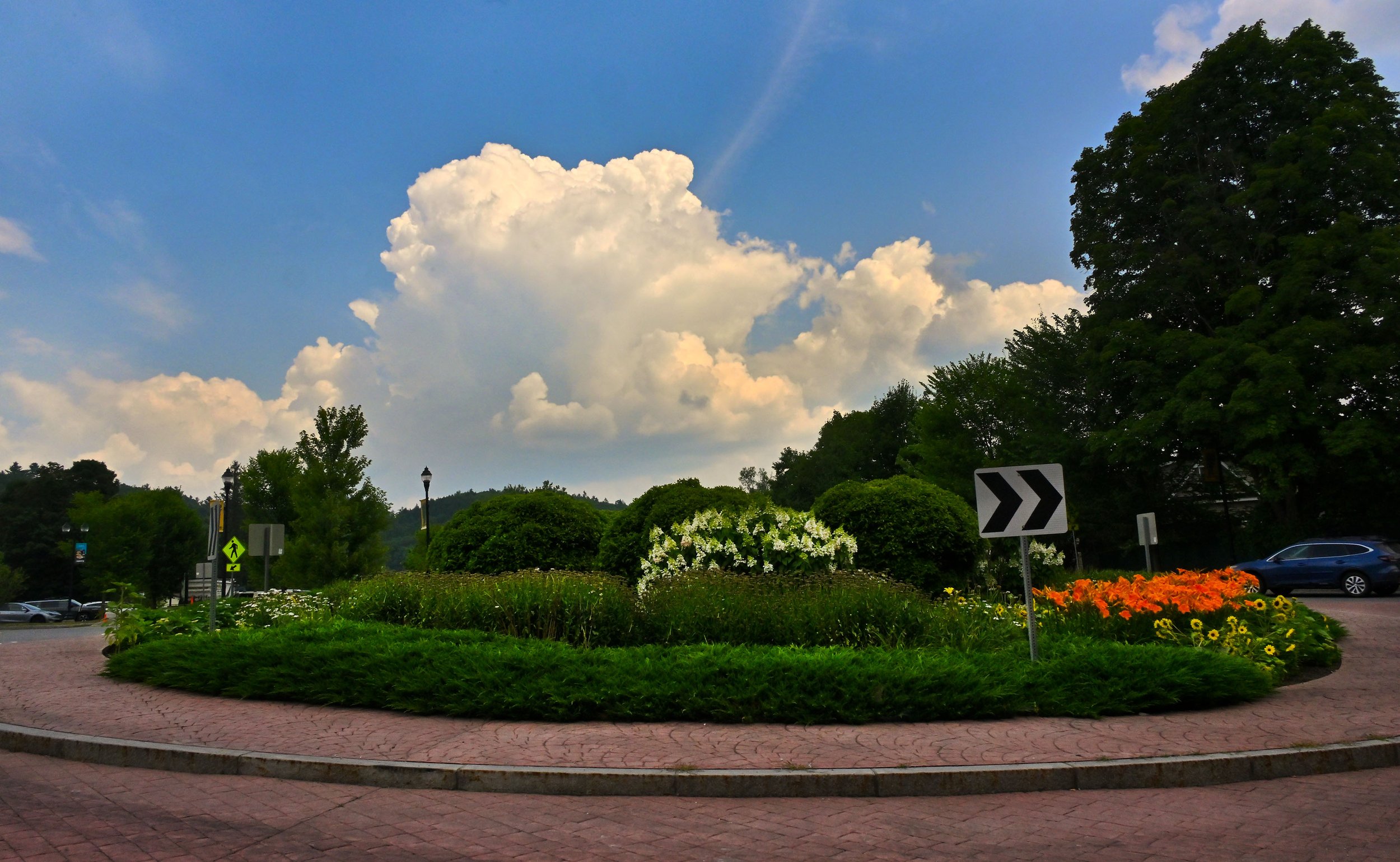  The Waterbury roundabout in summer bloom. Photo by Gordon Miller 
